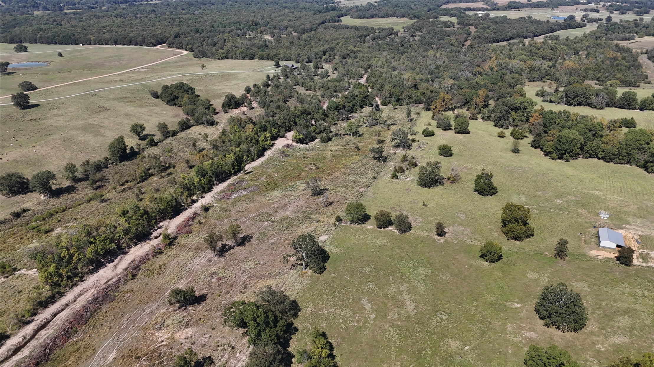 000 Sandy Creek Property Photo 6