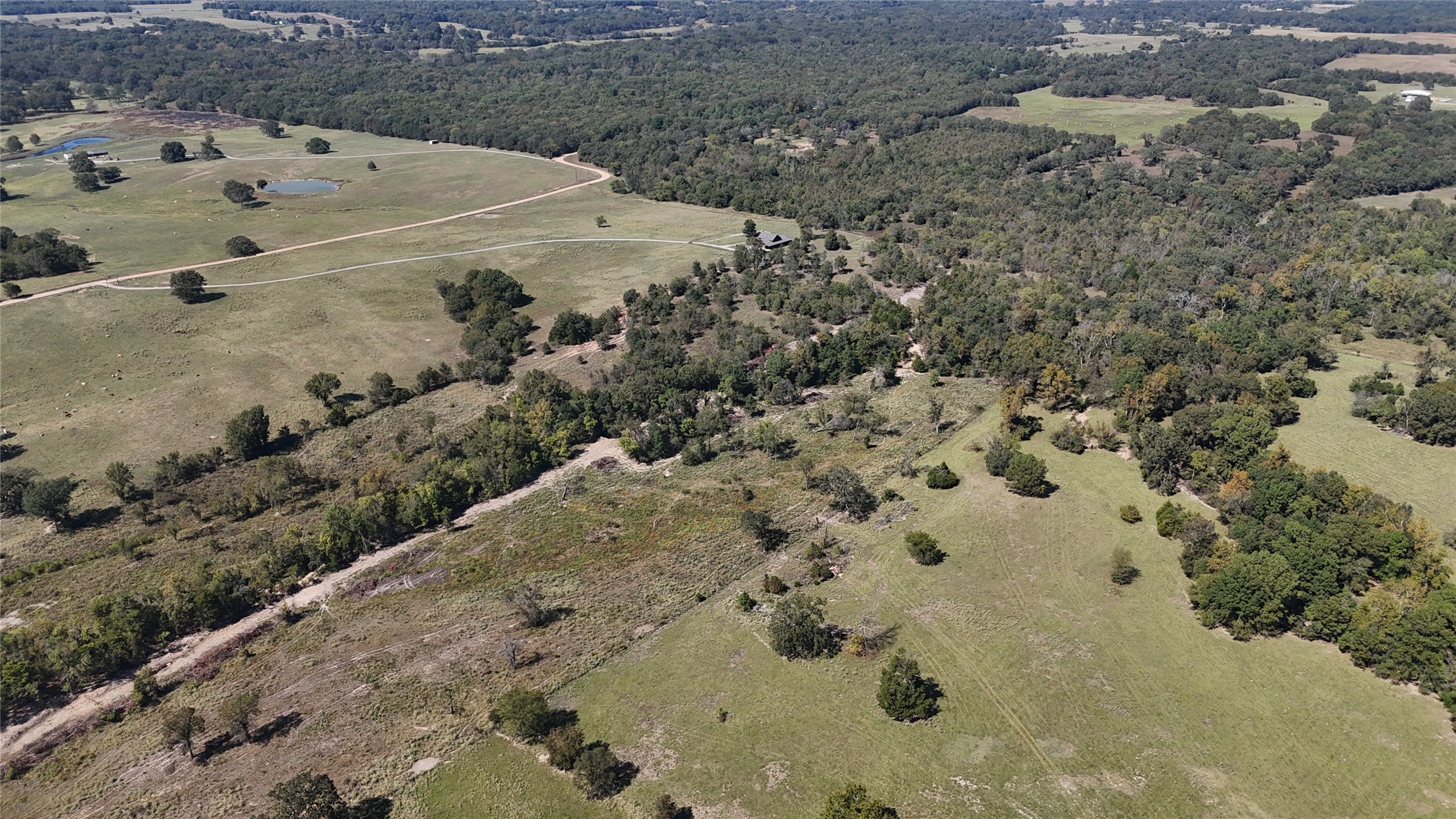 000 Sandy Creek Property Photo 7