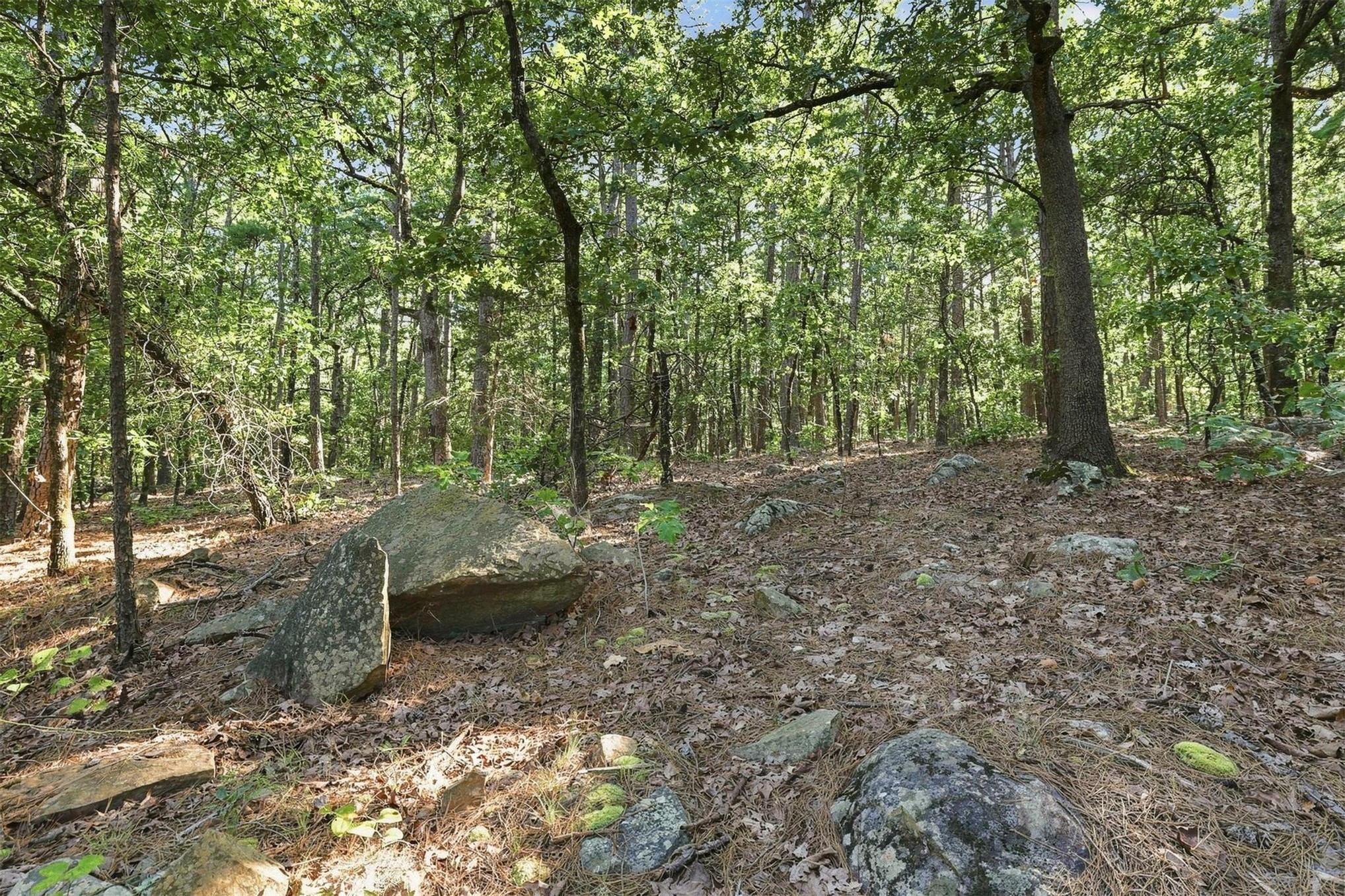 175 Sw Sherman Property Photo 2