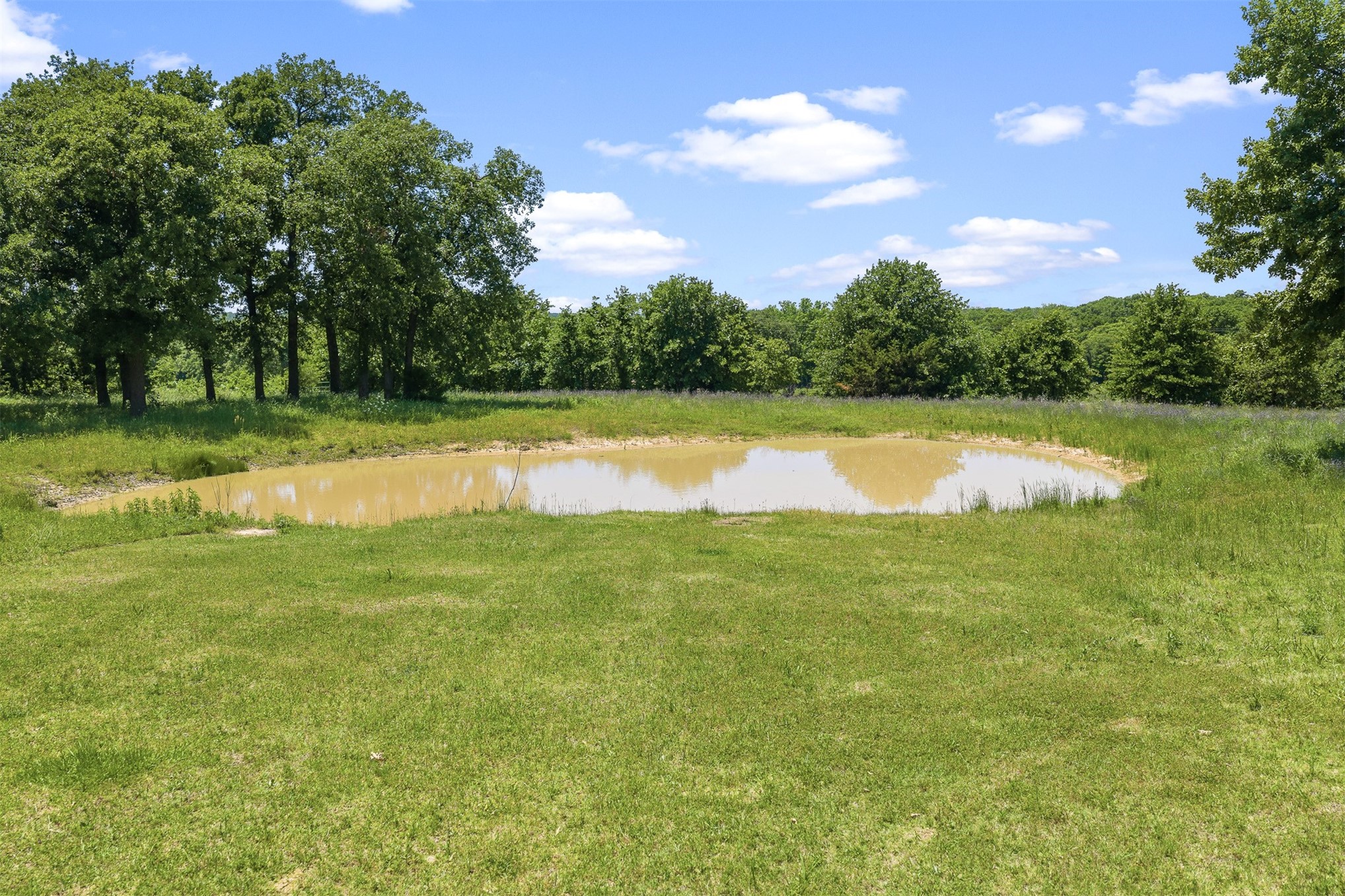 831 Barrons Ridge Property Photo 34