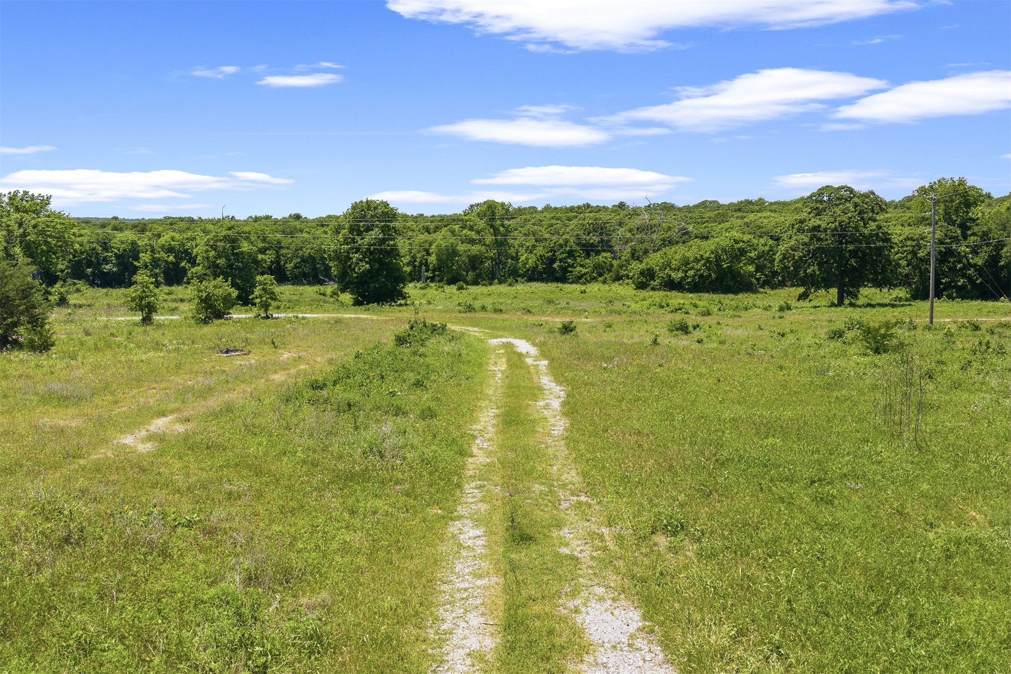 831 Barrons Ridge Property Photo 36
