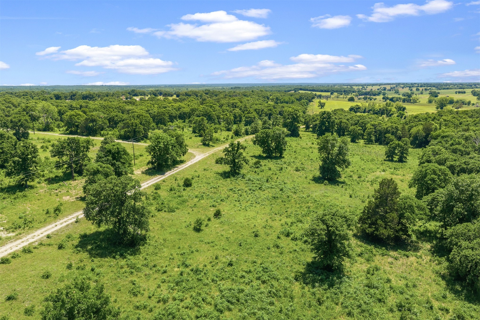 831 Barrons Ridge Property Photo 37