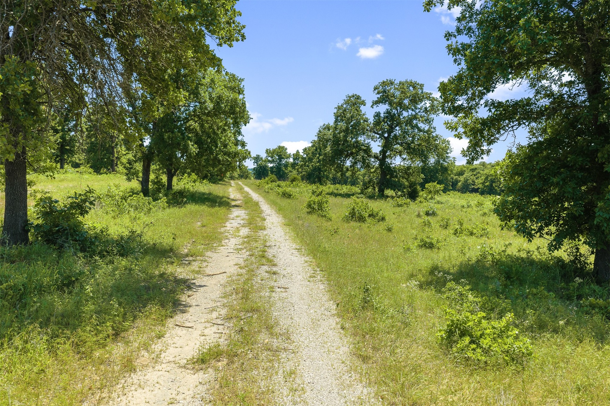 831 Barrons Ridge Property Photo 39