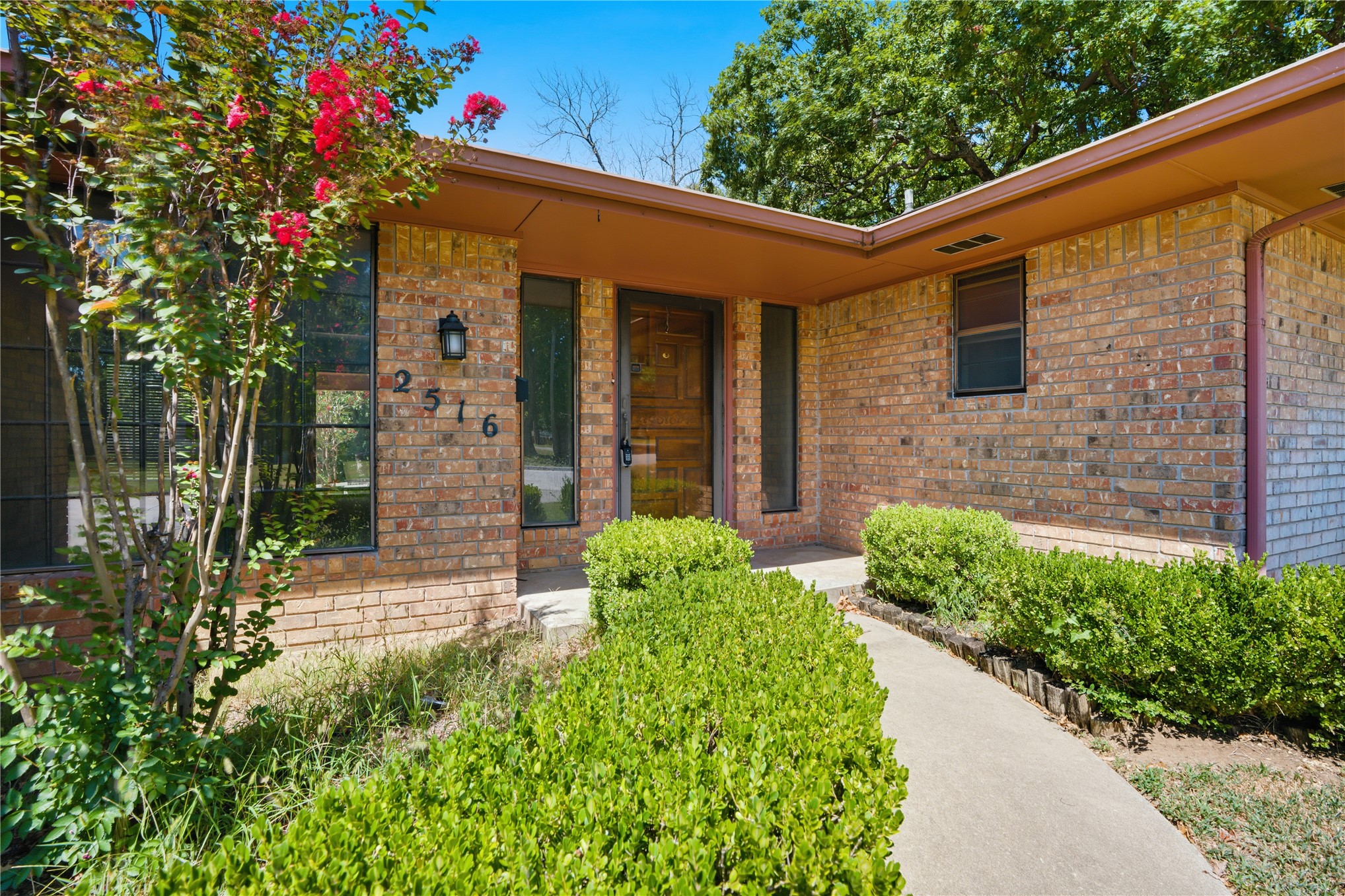 2516 Timber Terrace Property Photo 3