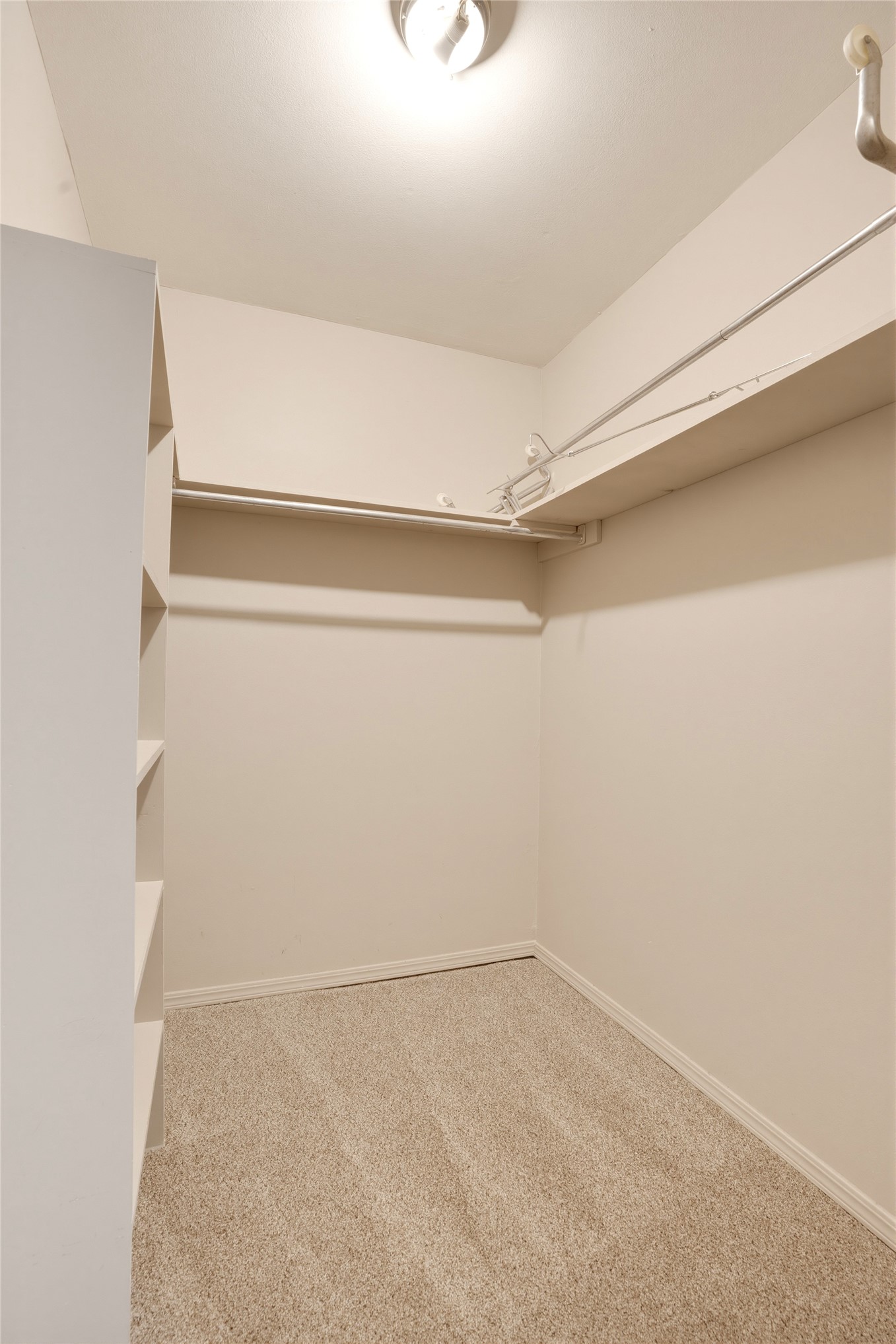 2516 Timber Terrace Property Photo 24