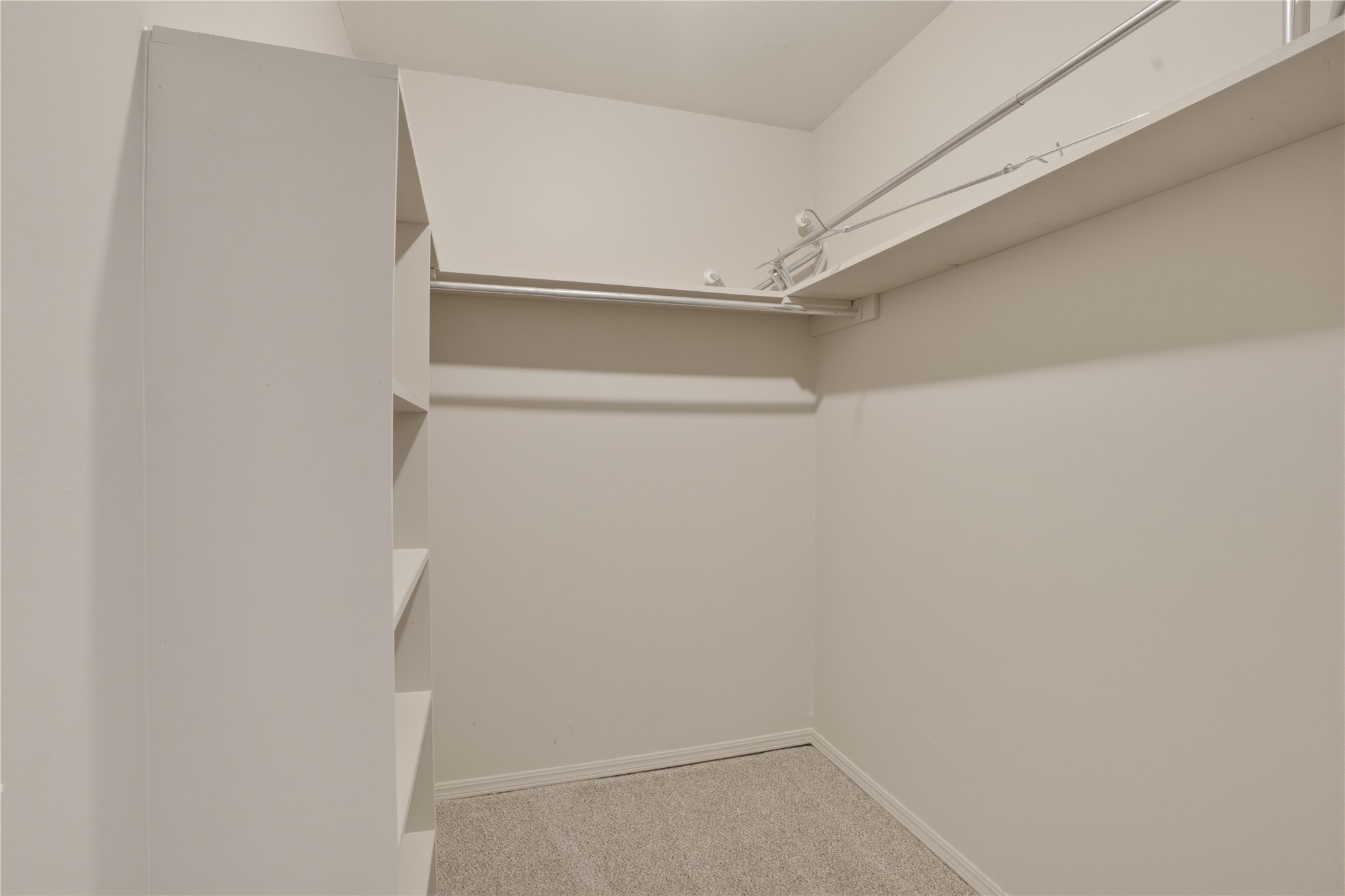 2516 Timber Terrace Property Photo 25