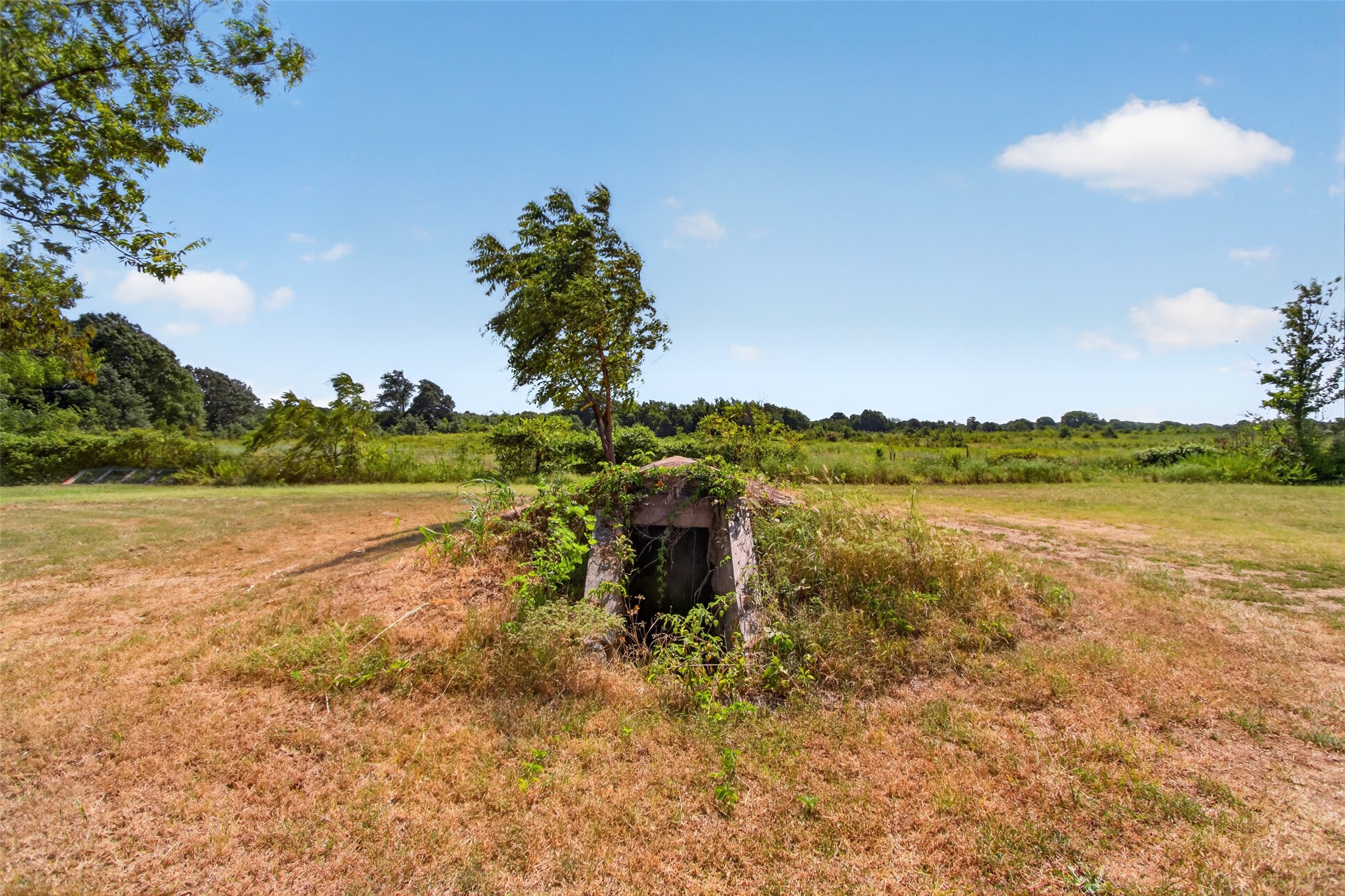 452303 E 270 Property Photo 43