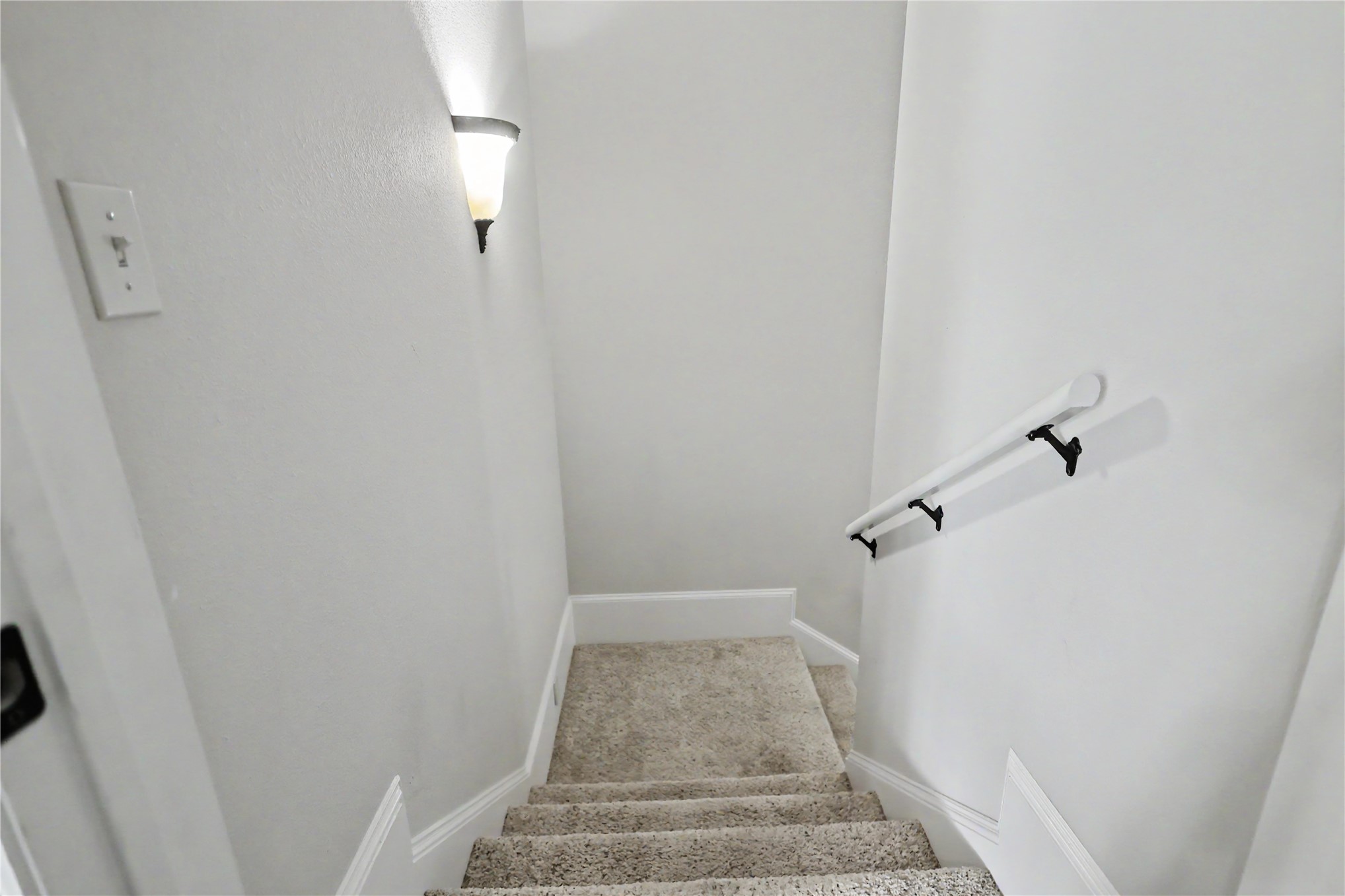 870 Cherry Springs Drive Property Photo 69