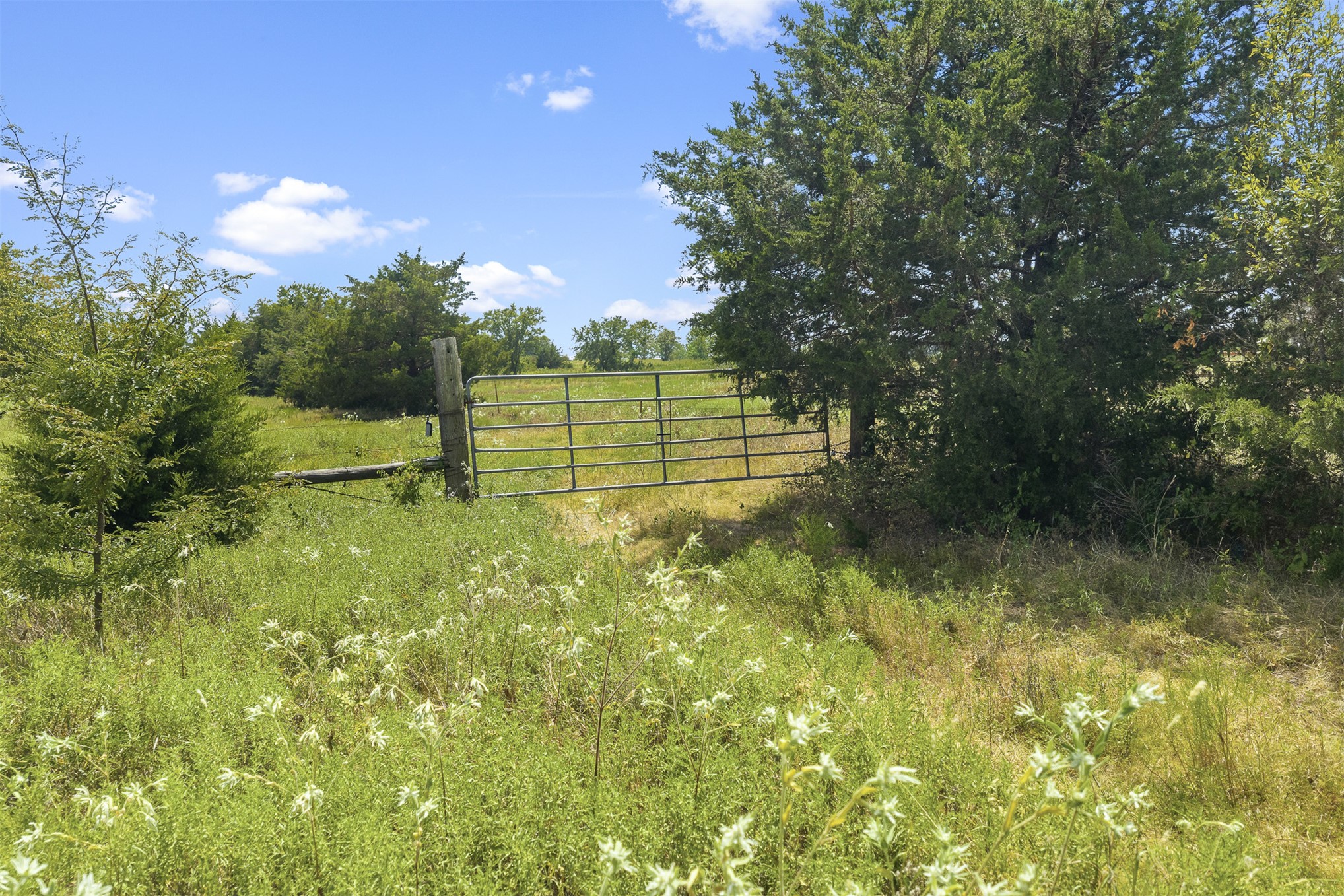 6979 State Hwy 53 Property Photo 17