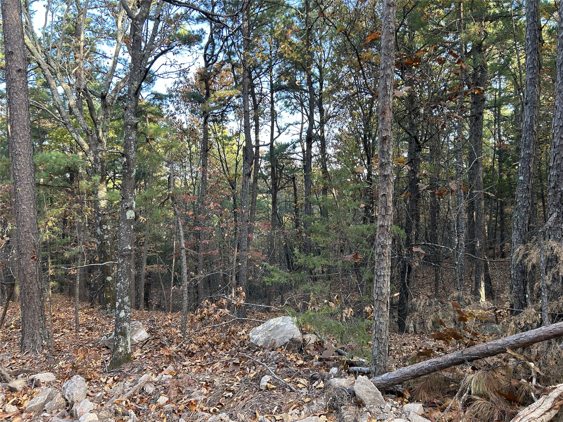 9915 Se Highway 2 Property Photo 19