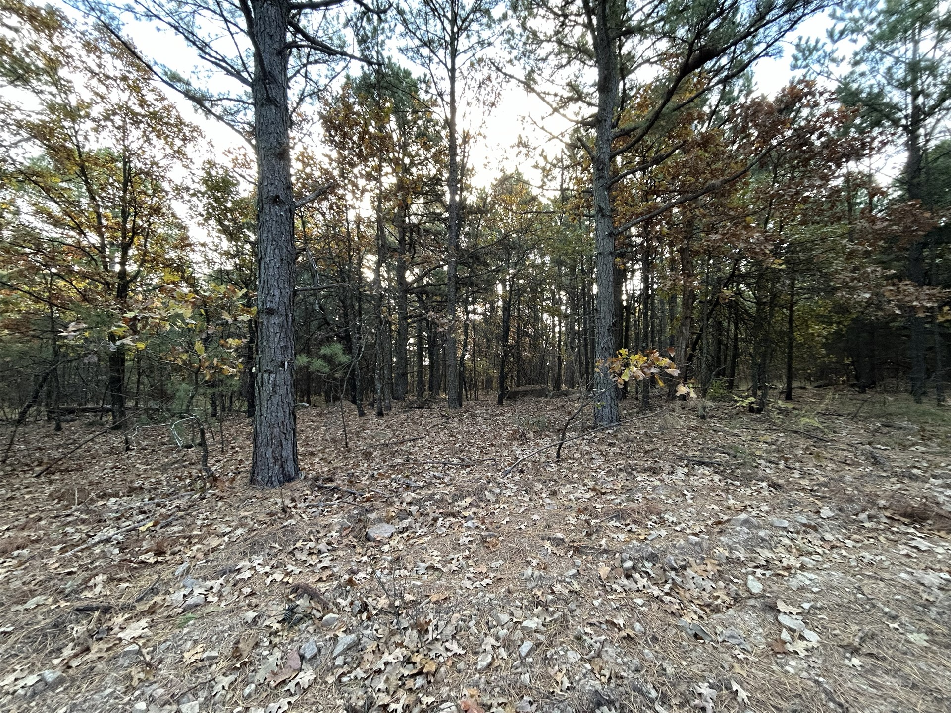 9915 Se Highway 2 Property Photo 22
