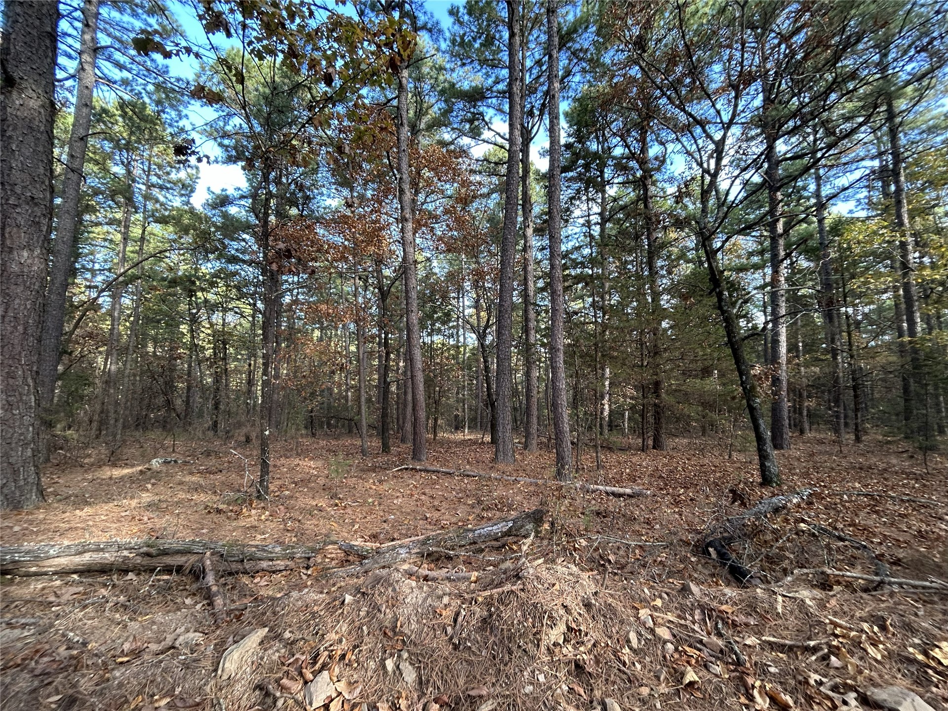 9915 Se Highway 2 Property Photo 29