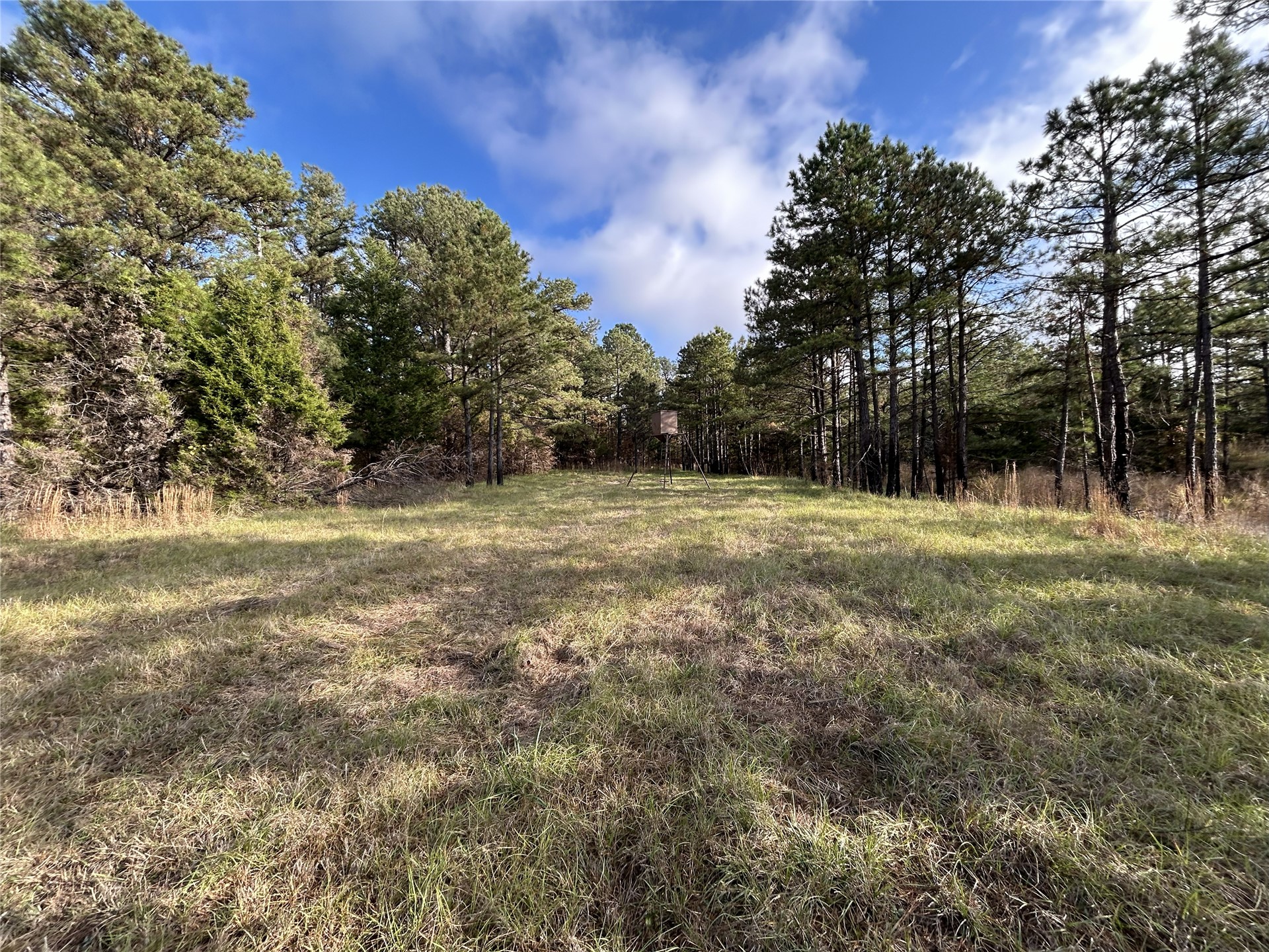 9915 Se Highway 2 Property Photo 32