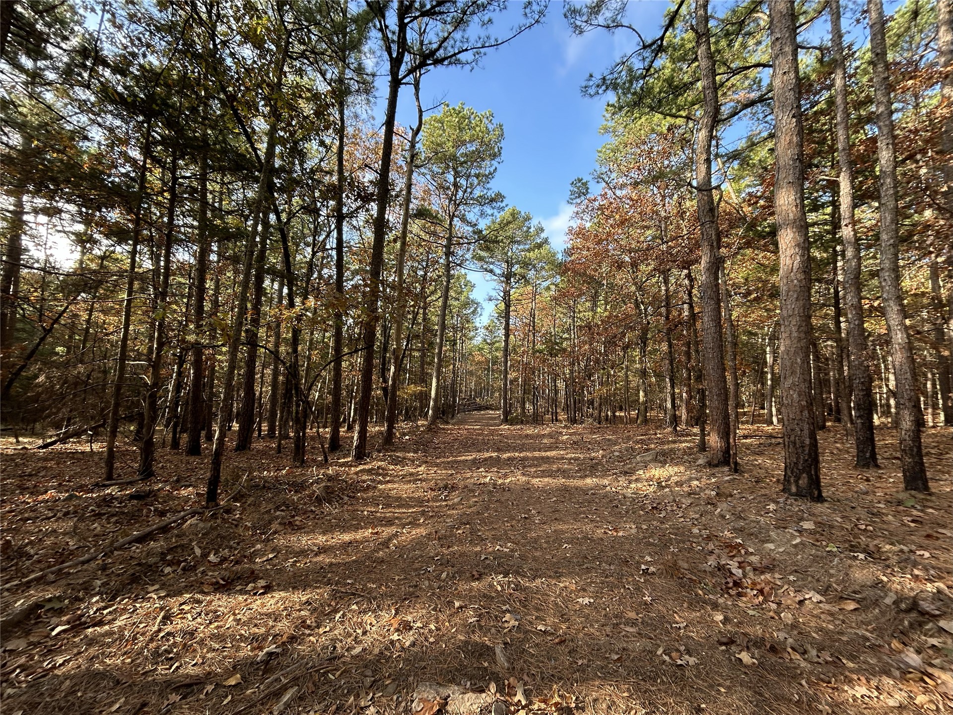 9915 Se Highway 2 Property Photo 33