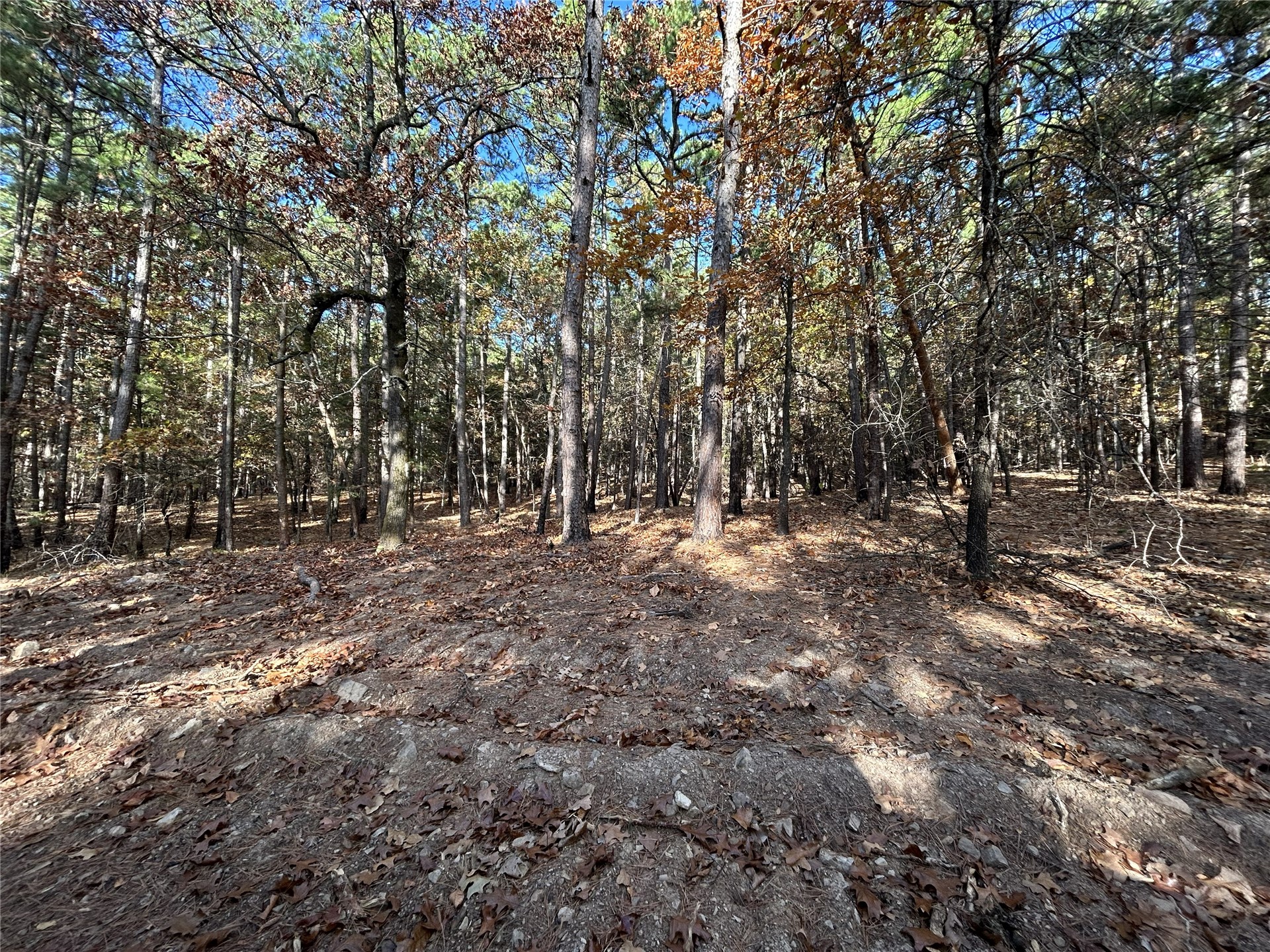 9915 Se Highway 2 Property Photo 34