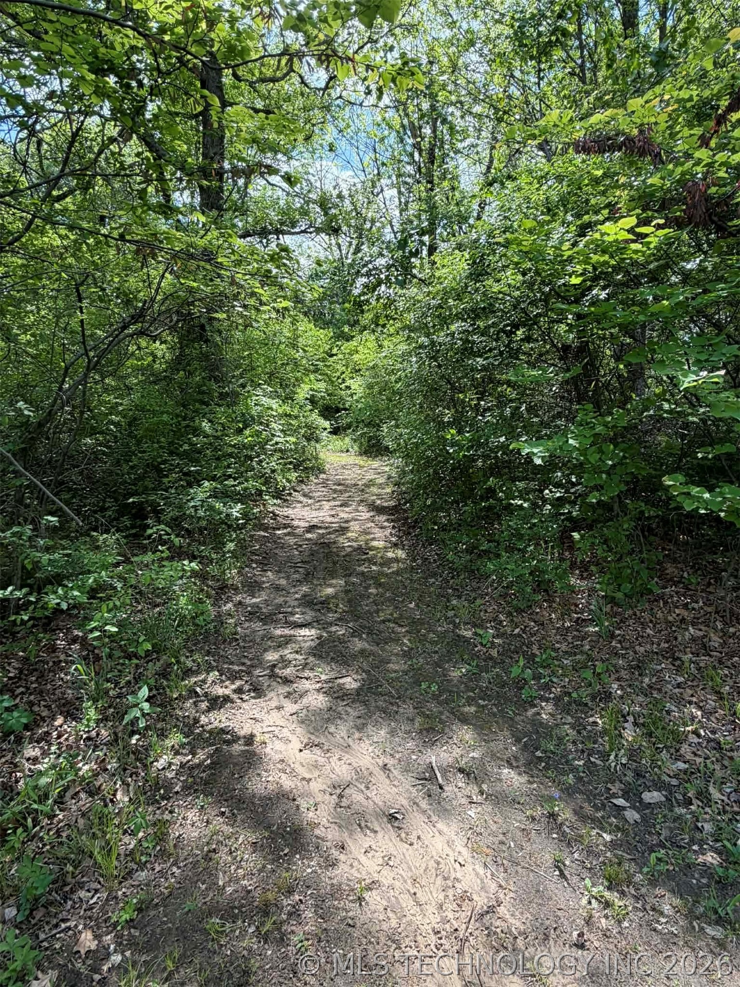 11061 Highway 70 Property Photo 42