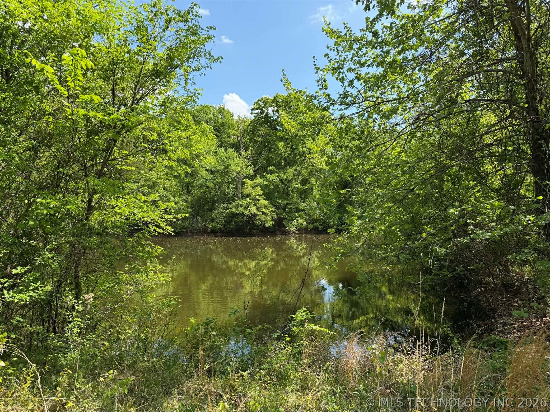 11061 Highway 70 Property Photo 43