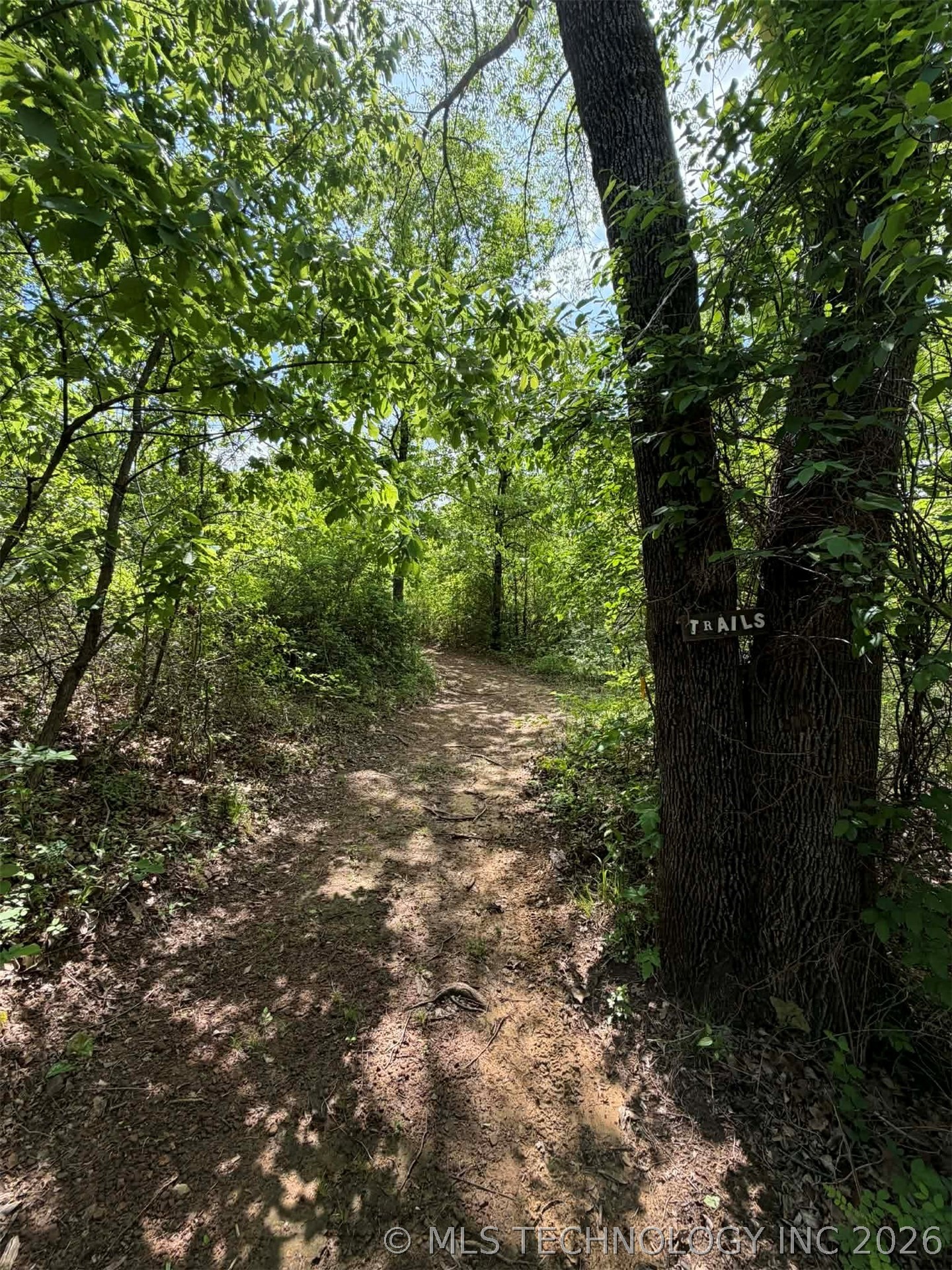 11061 Highway 70 Property Photo 45