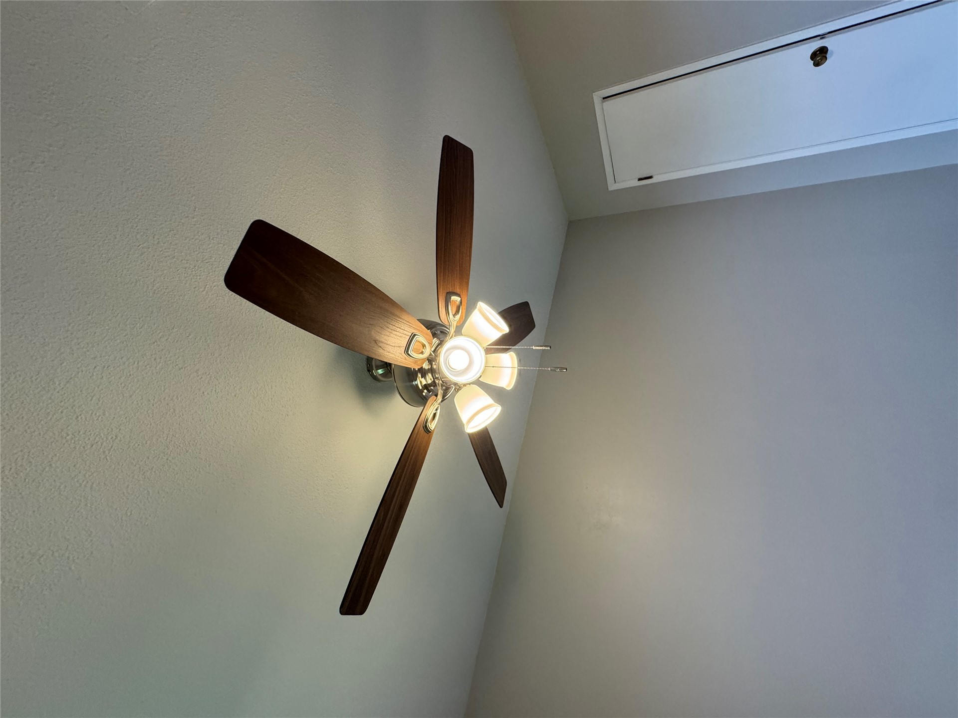 1701 Smith Property Photo 24