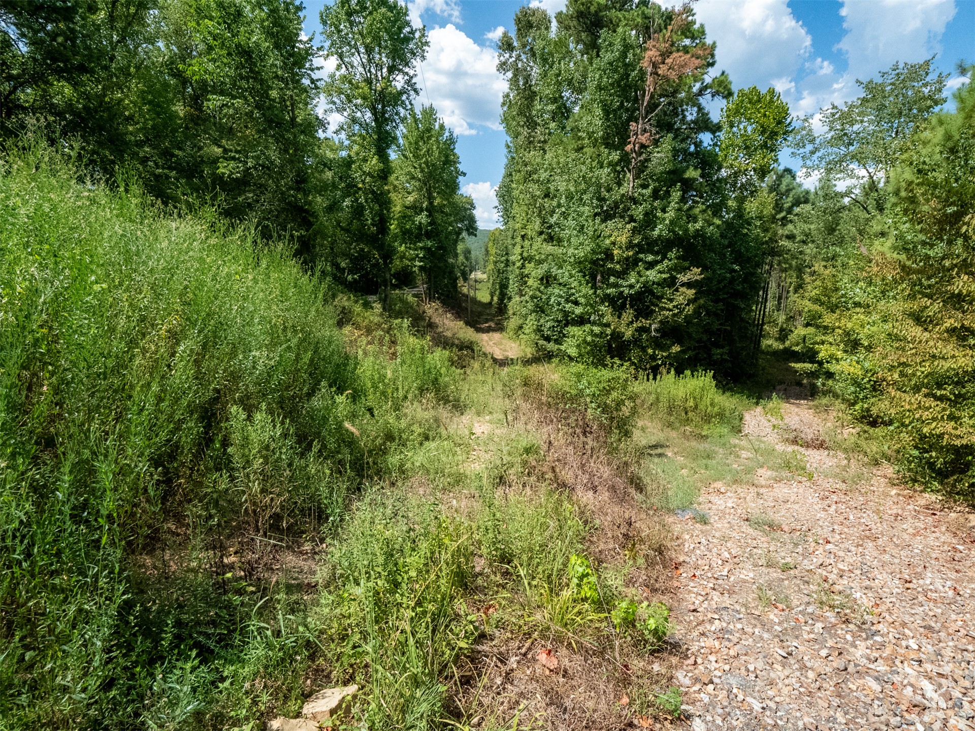 Indian Trail Property Photo 29