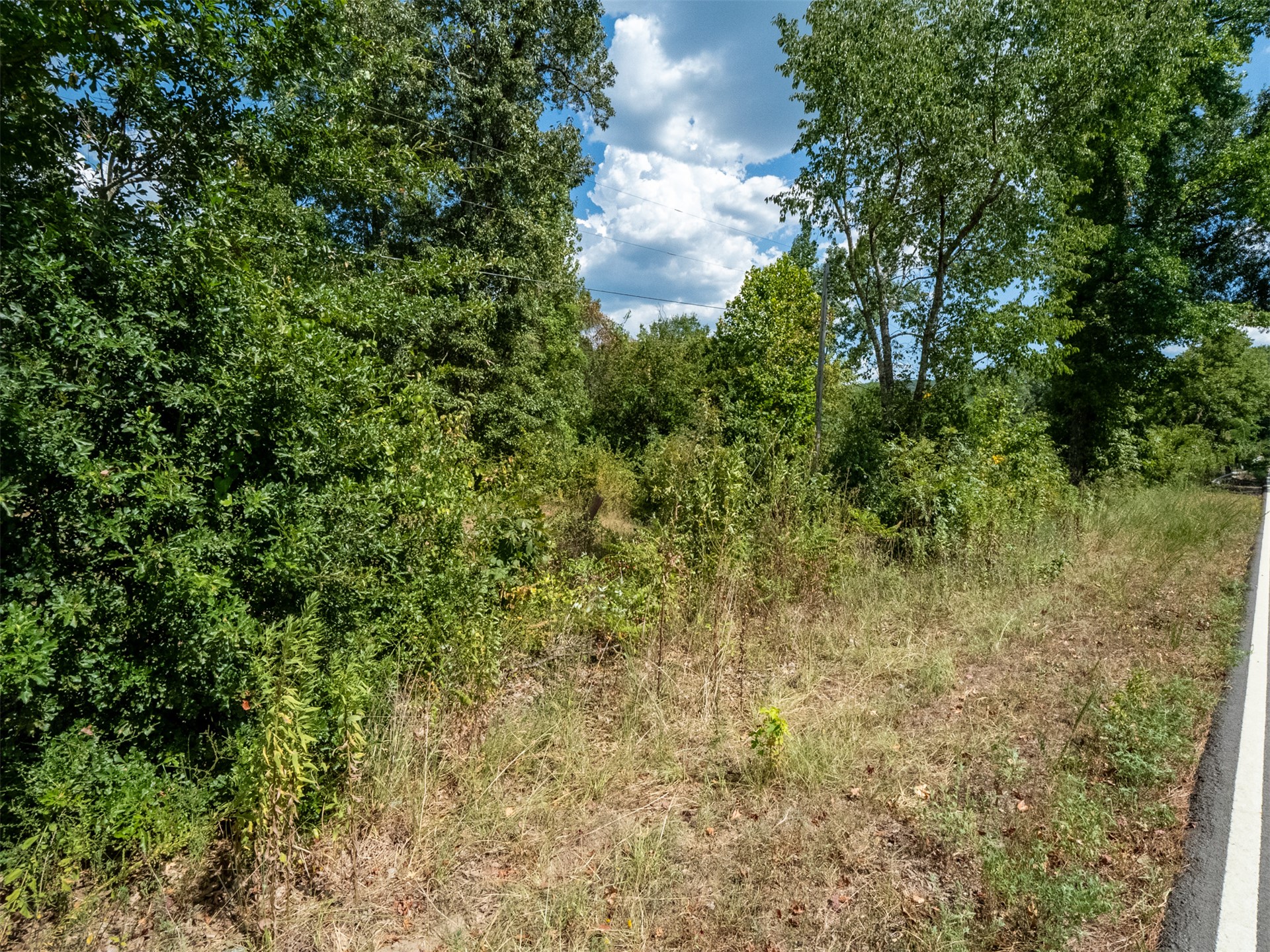 Indian Trail Property Photo 38
