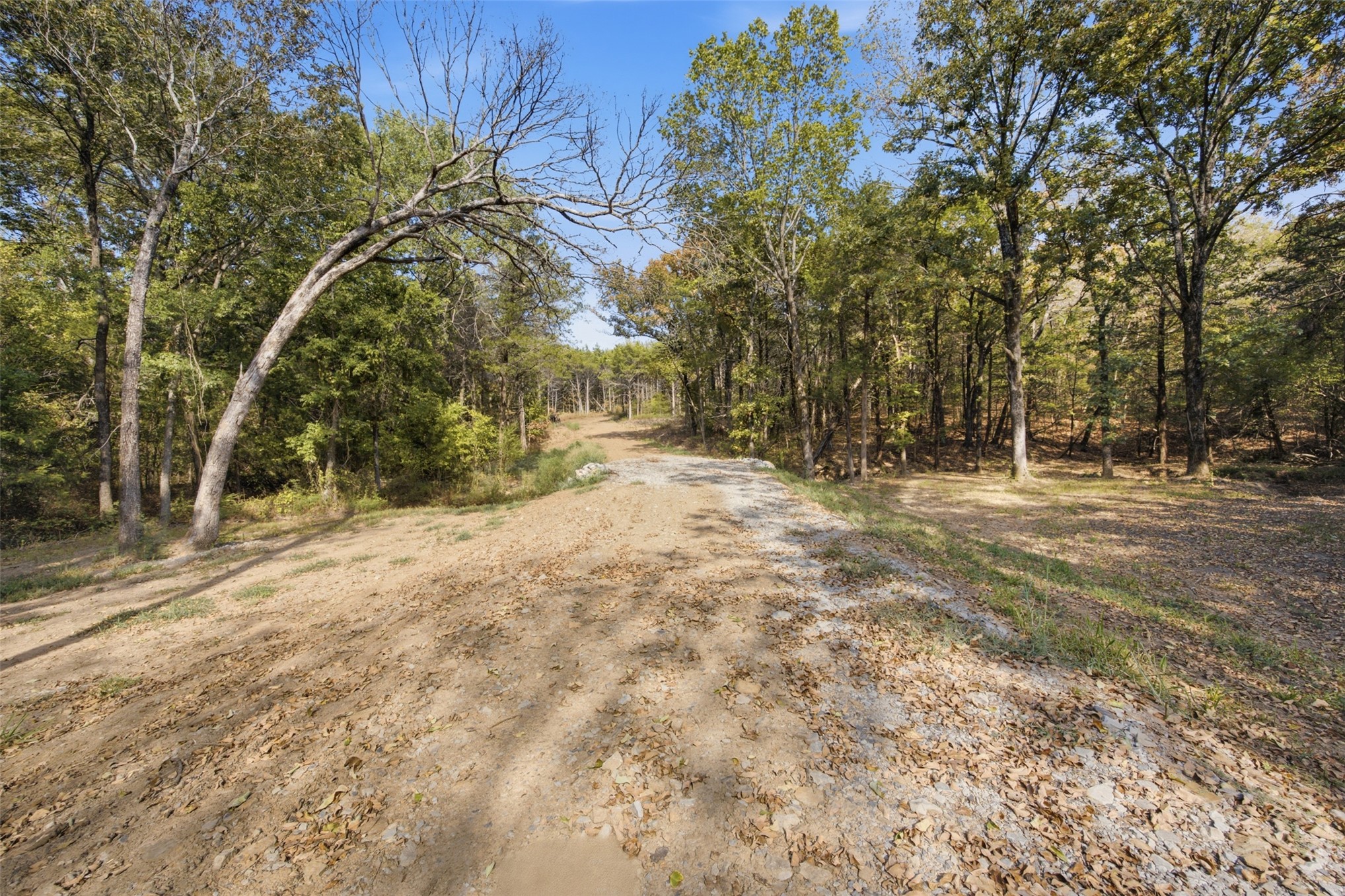 Yellow Bull Road Property Photo 2