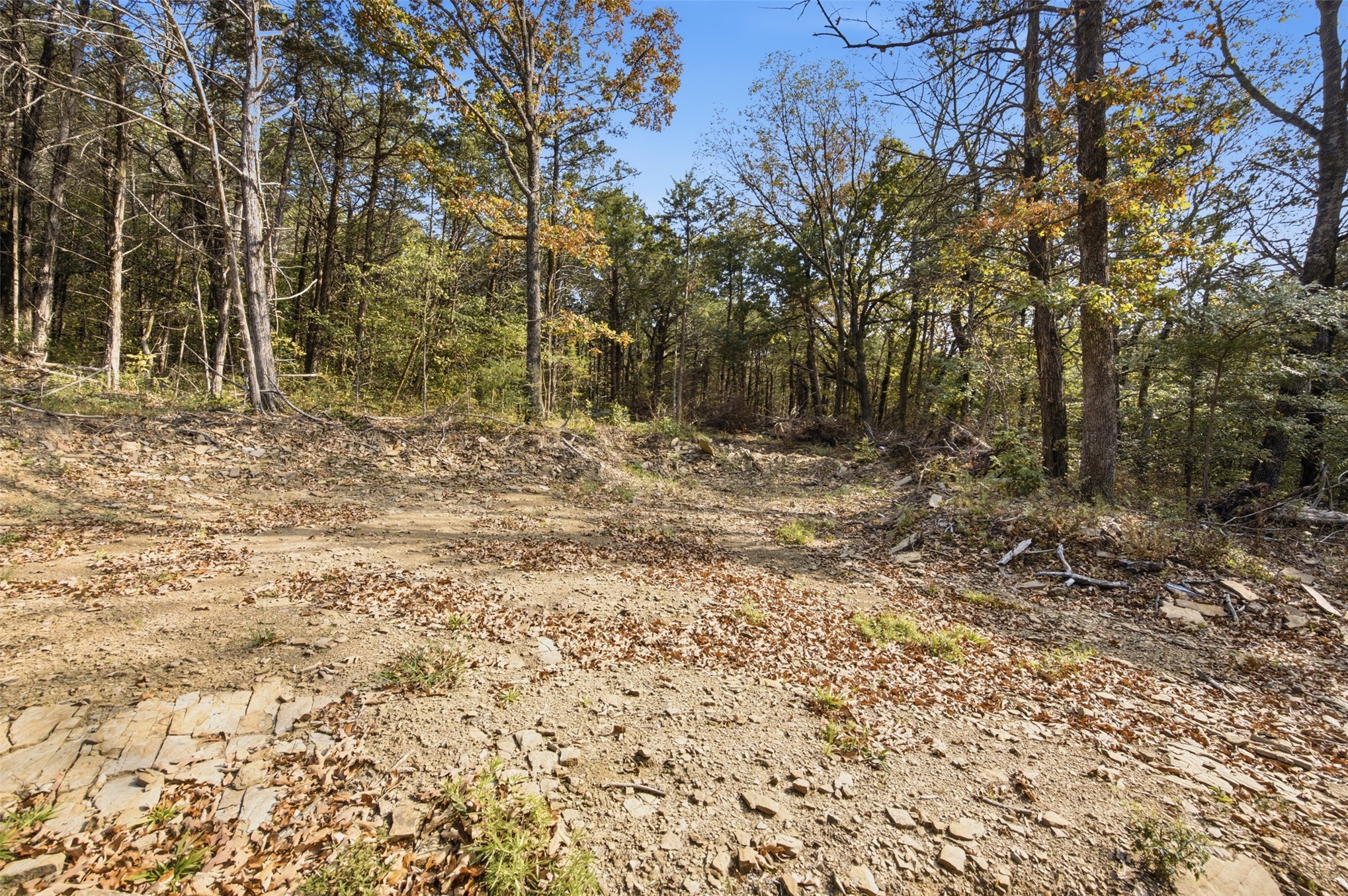 Yellow Bull Road Property Photo 3
