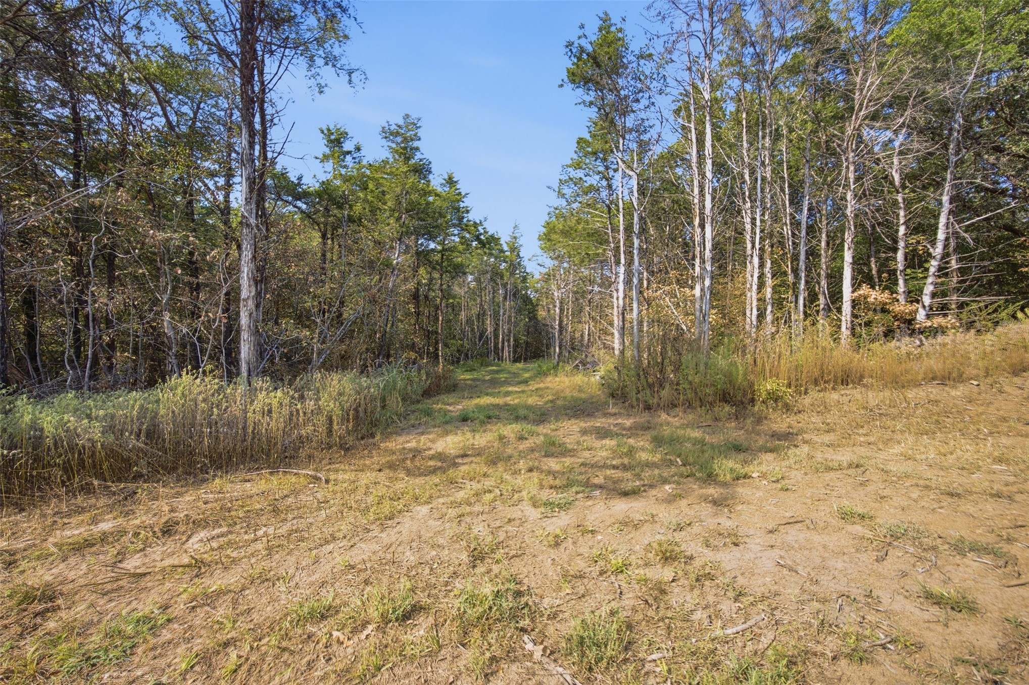 Yellow Bull Road Property Photo 4