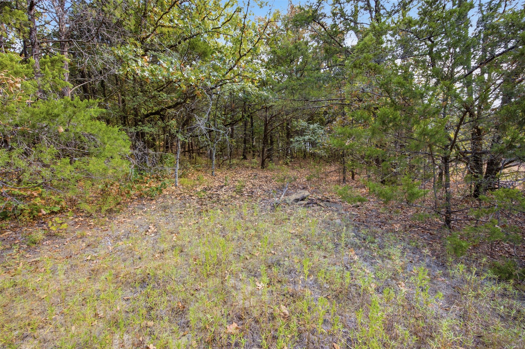 Yellow Bull Road Property Photo 11