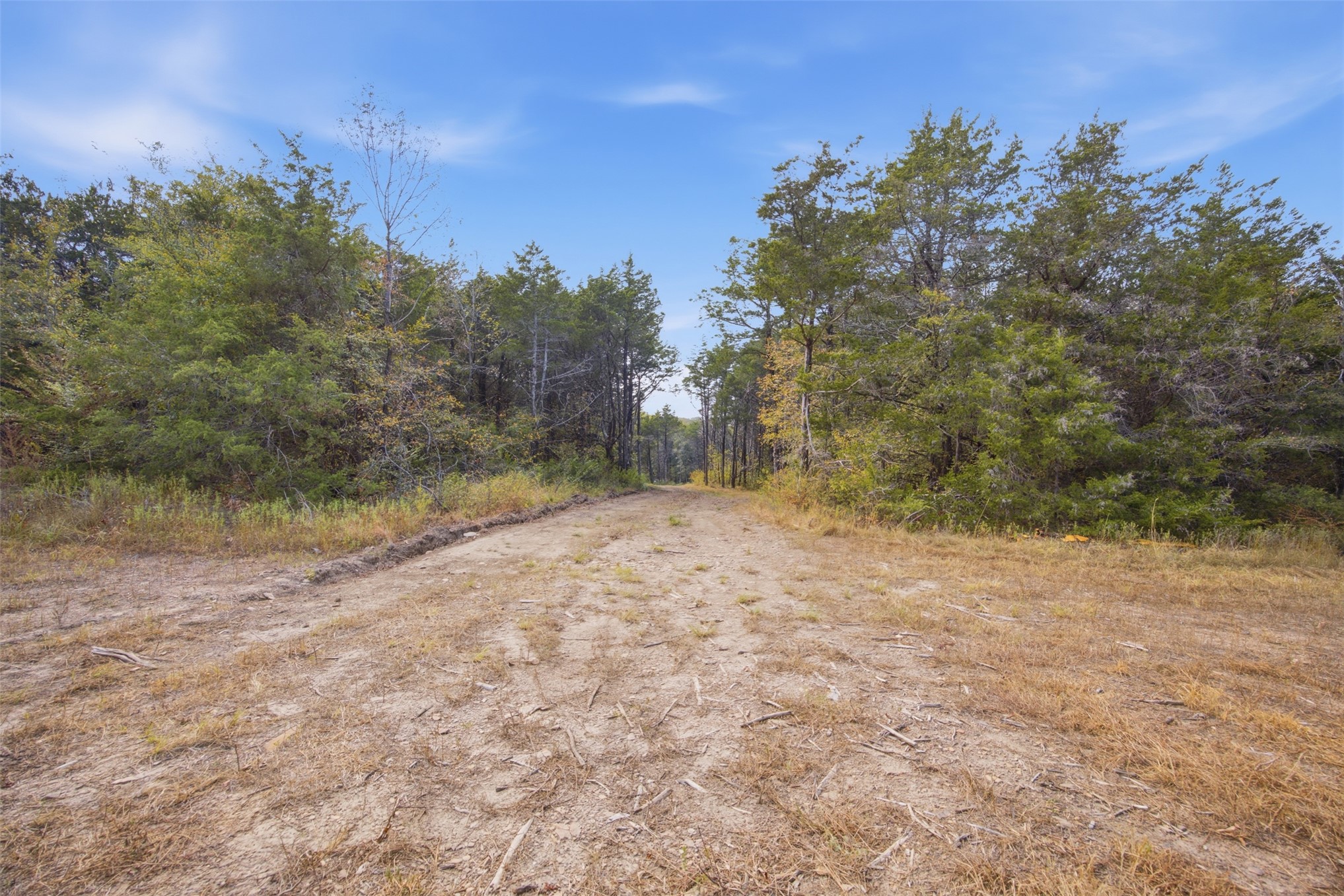 Yellow Bull Road Property Photo 12