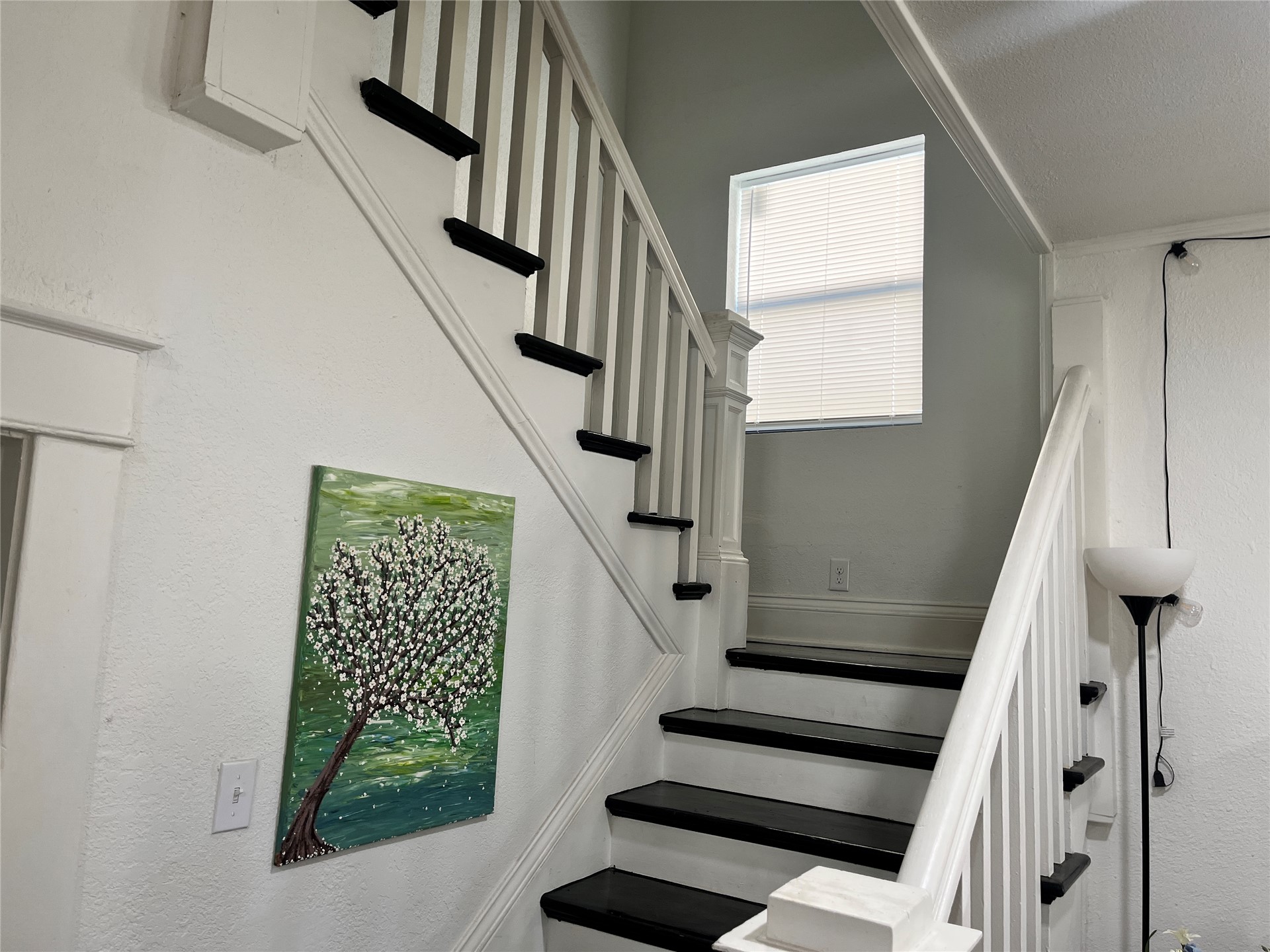 623 Lawrence Street Property Photo 32