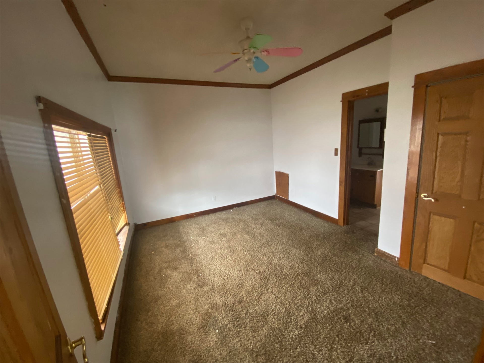 2630832 Property Photo 6