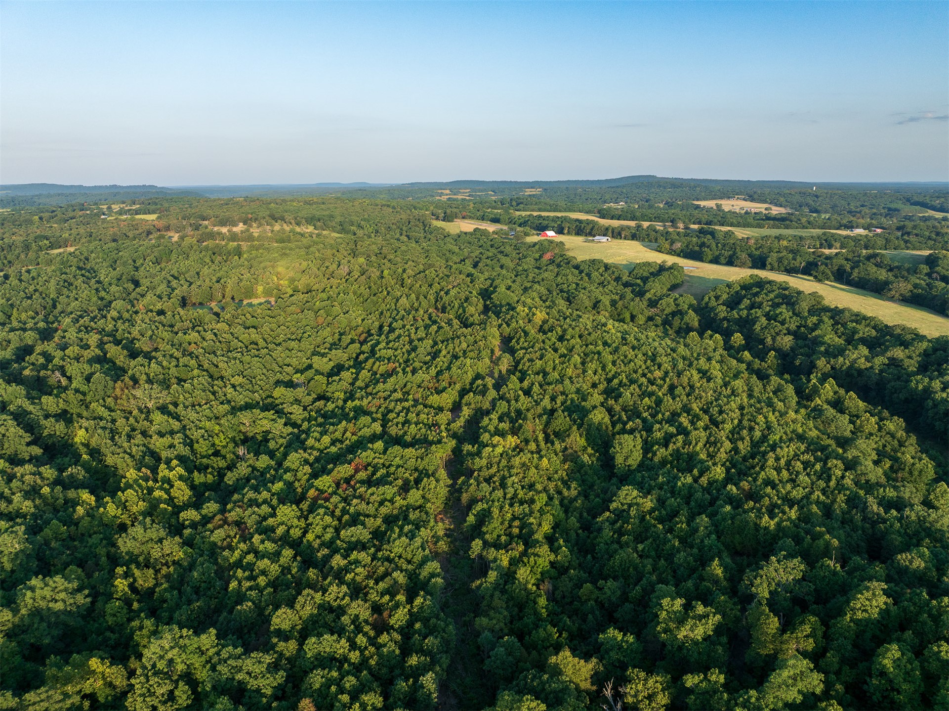 209 State Highway 59 Property Photo 26