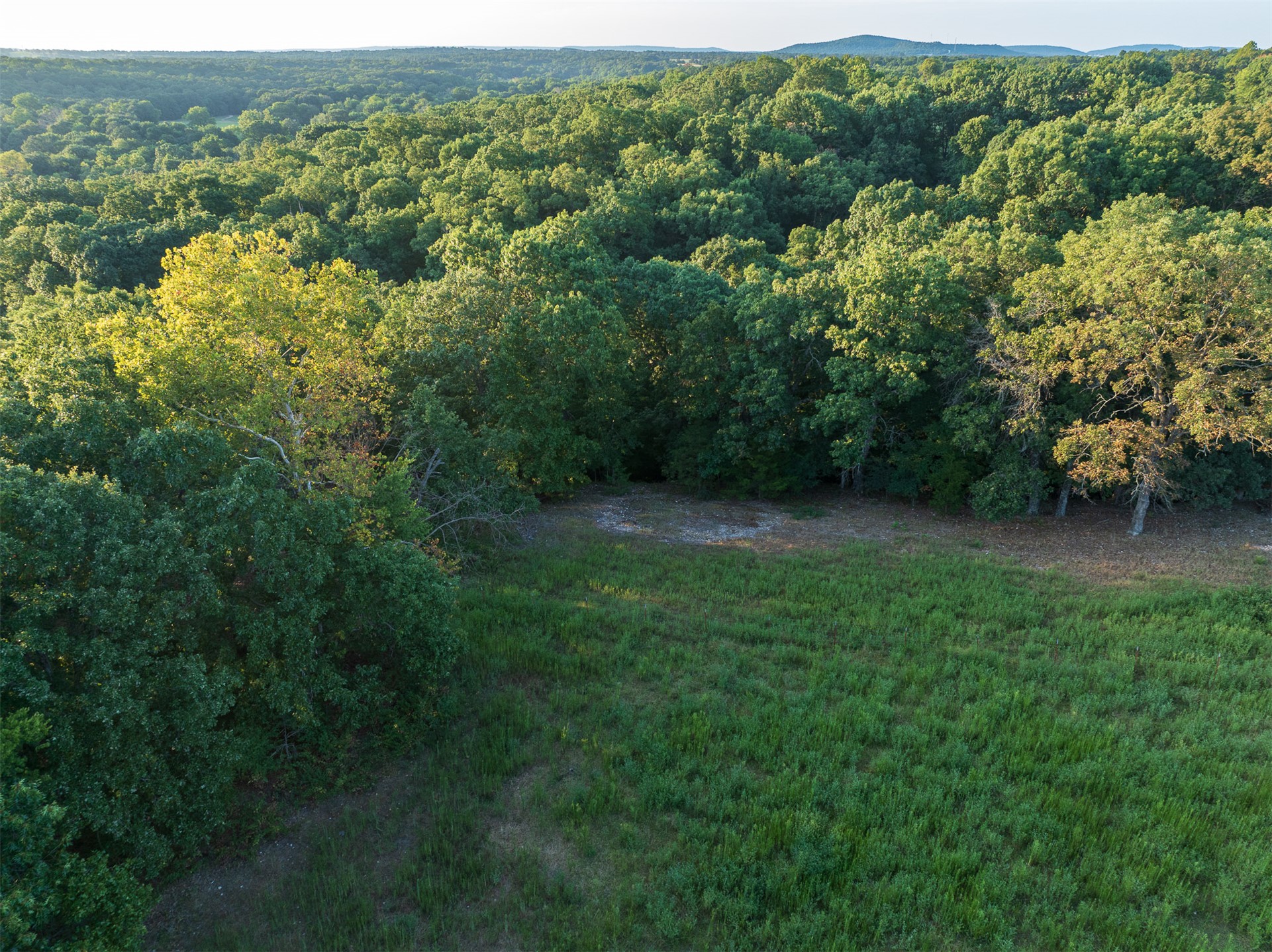 209 State Highway 59 Property Photo 35