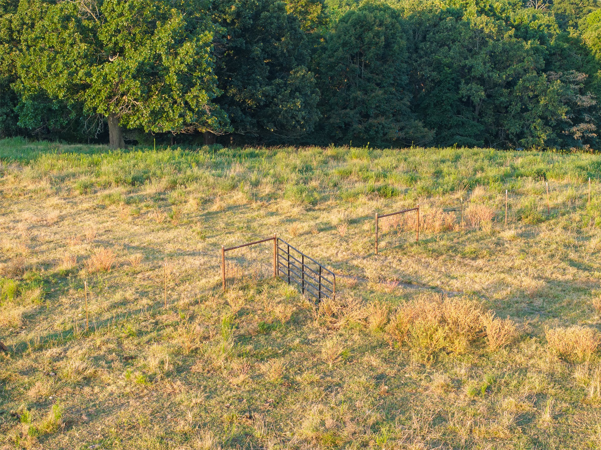 209 State Highway 59 Property Photo 36