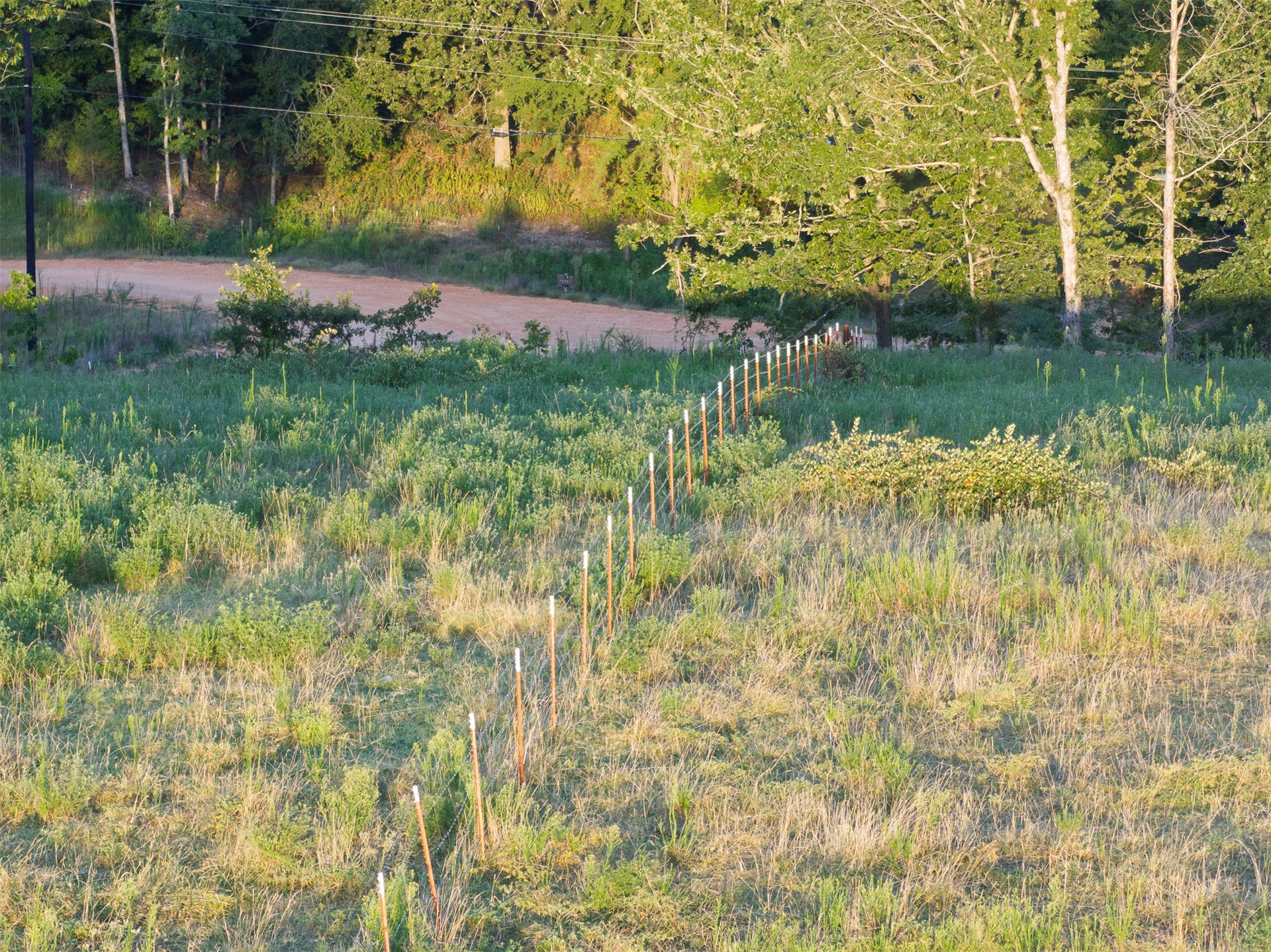 209 State Highway 59 Property Photo 37