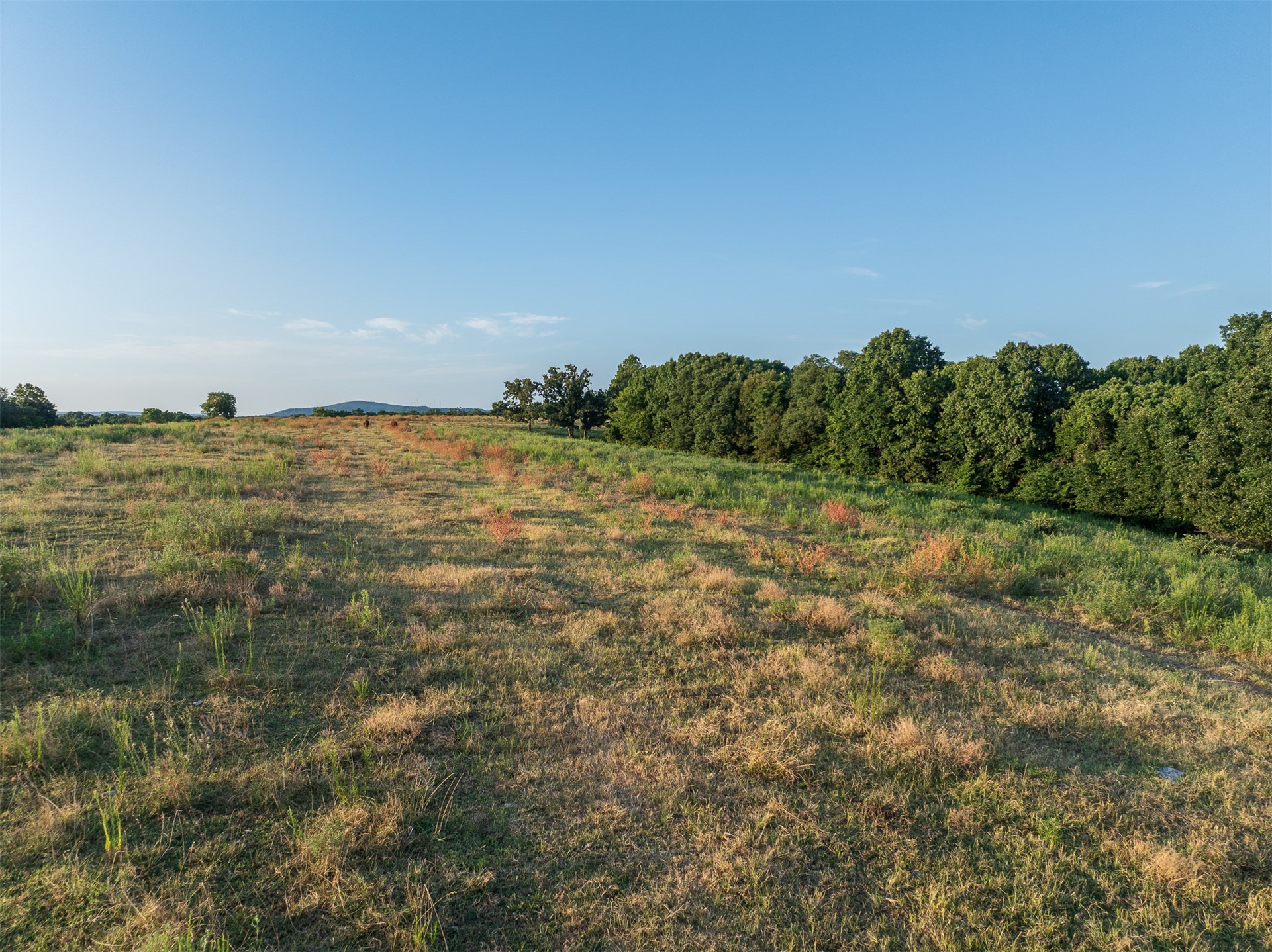 209 State Highway 59 Property Photo 41