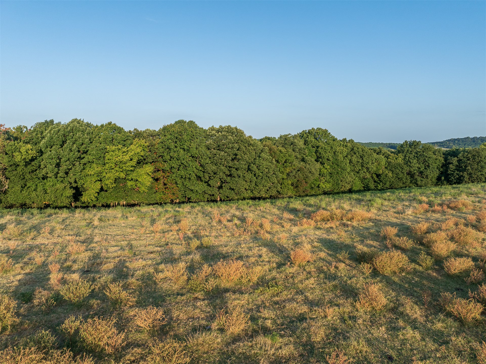 209 State Highway 59 Property Photo 42