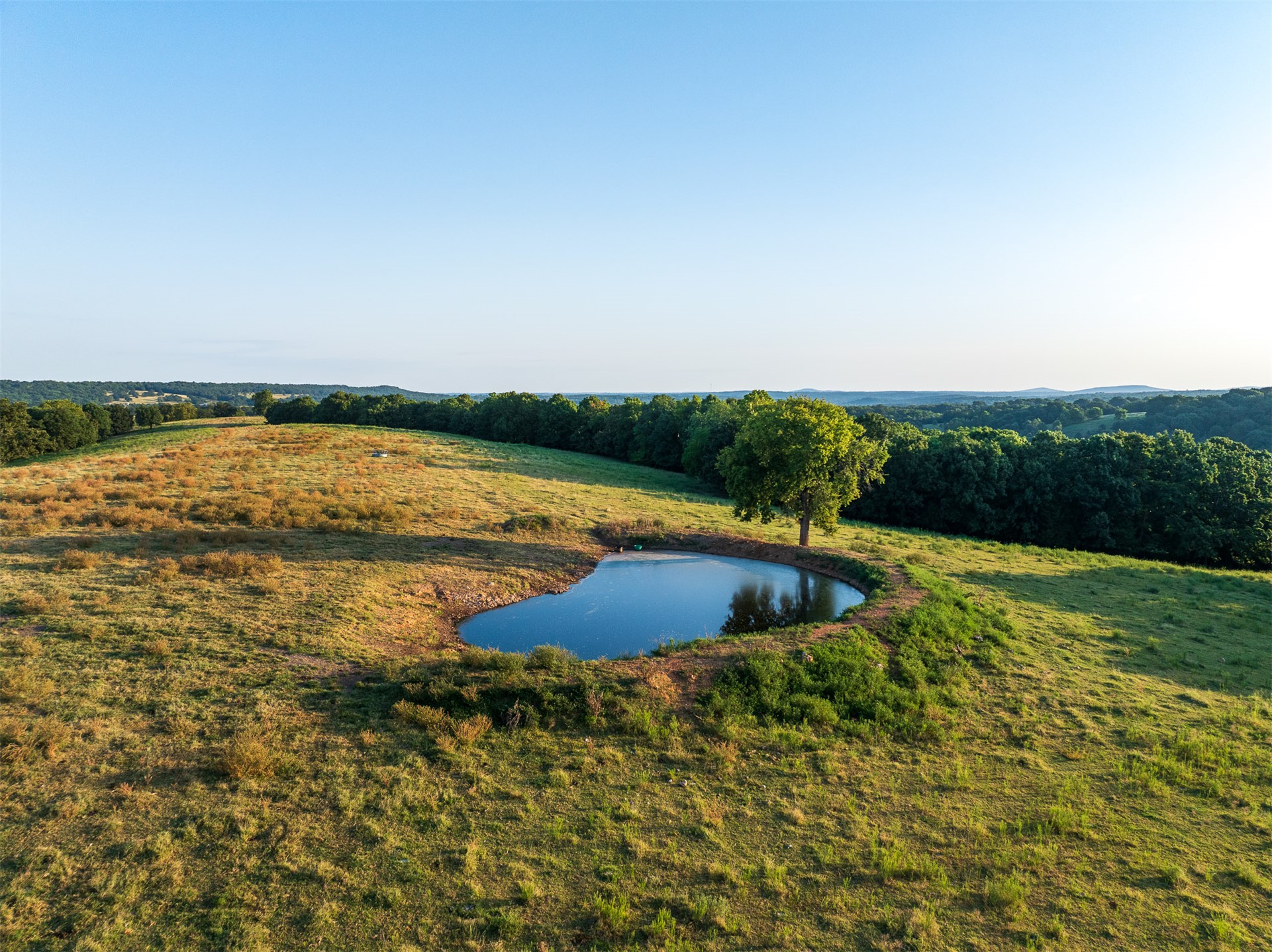 209 State Highway 59 Property Photo 45