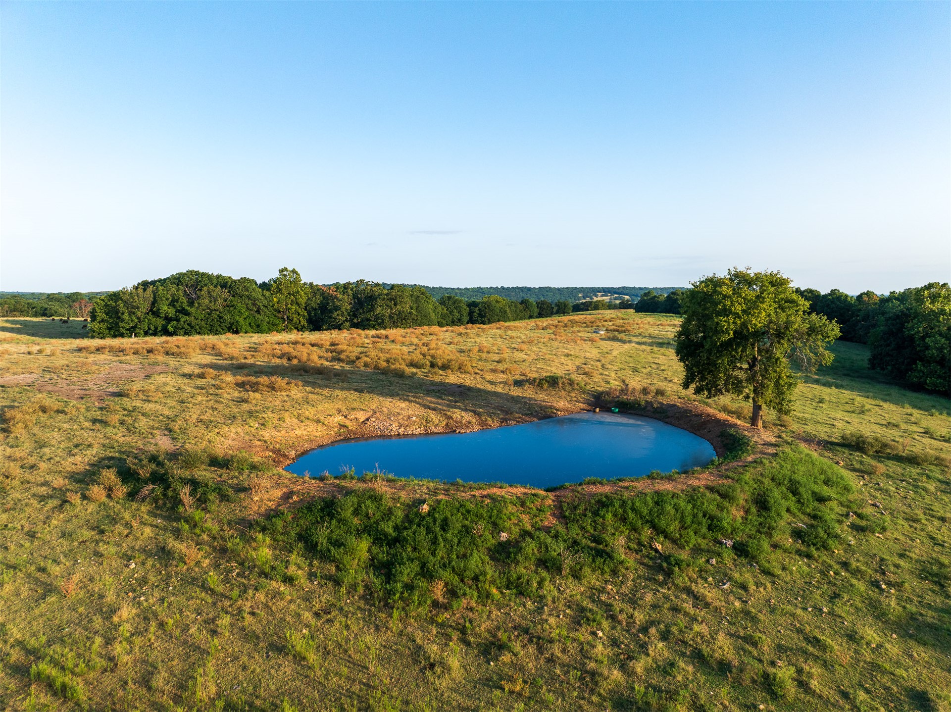 209 State Highway 59 Property Photo 46