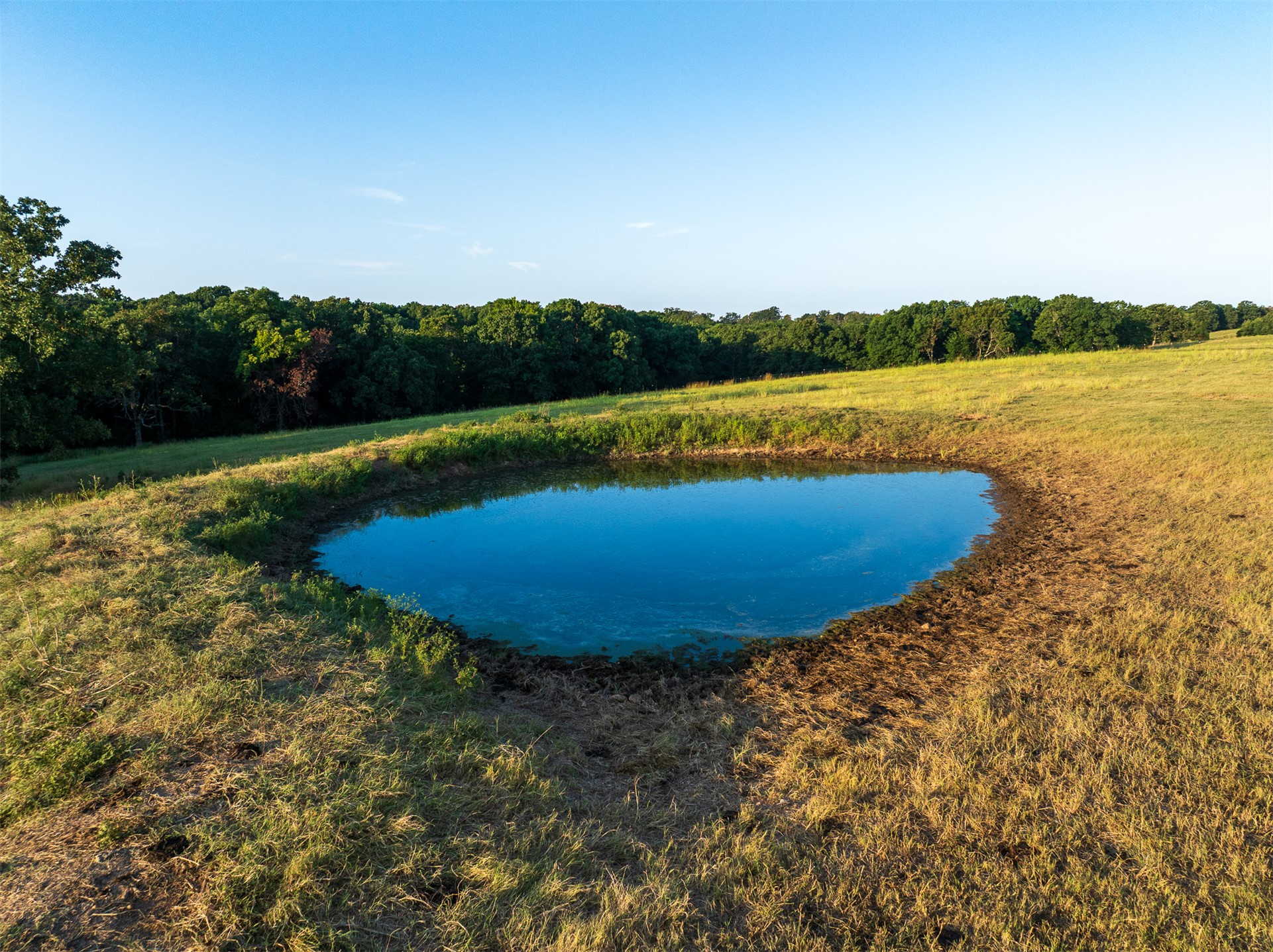 209 State Highway 59 Property Photo 48