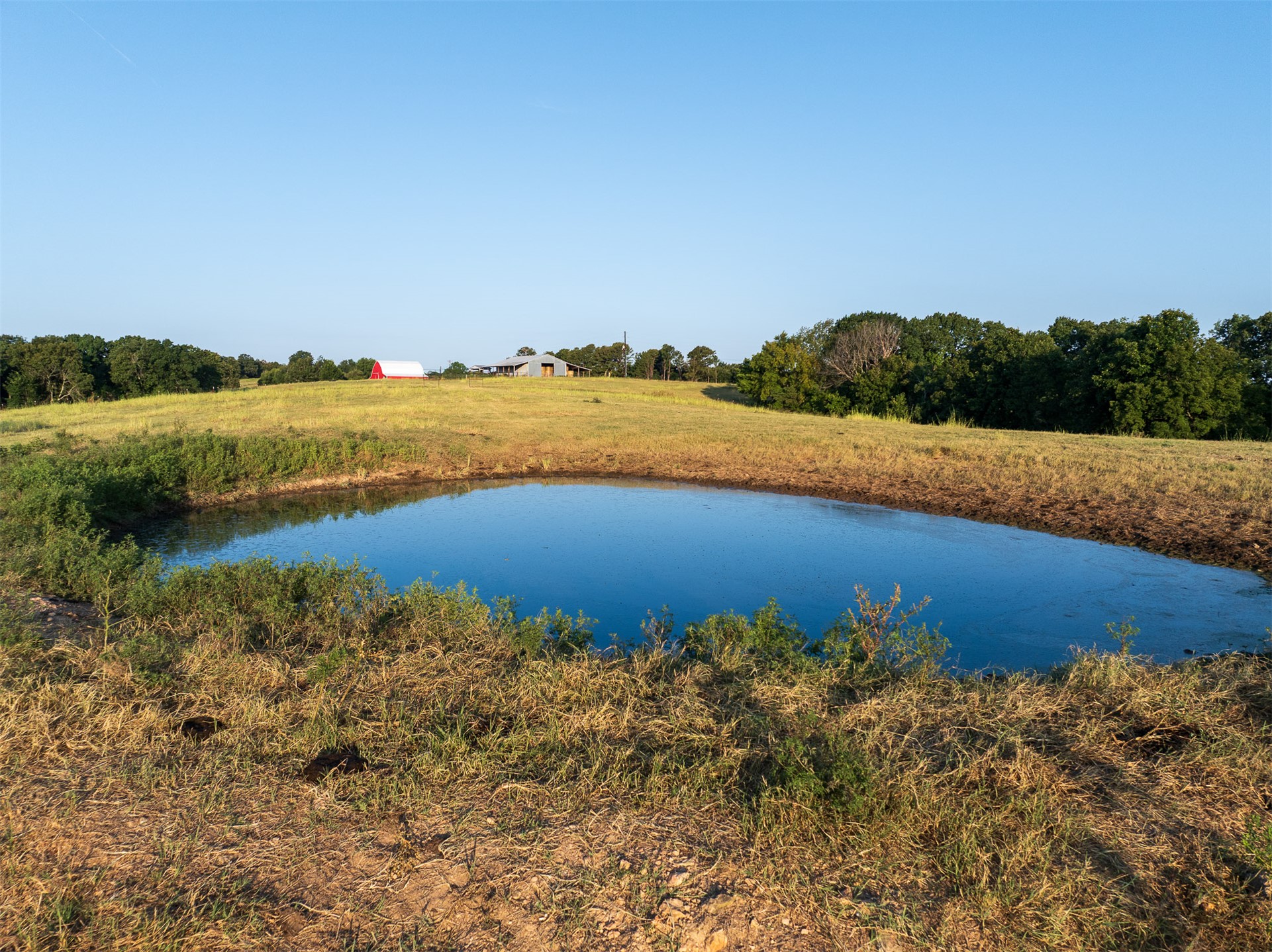 209 State Highway 59 Property Photo 49