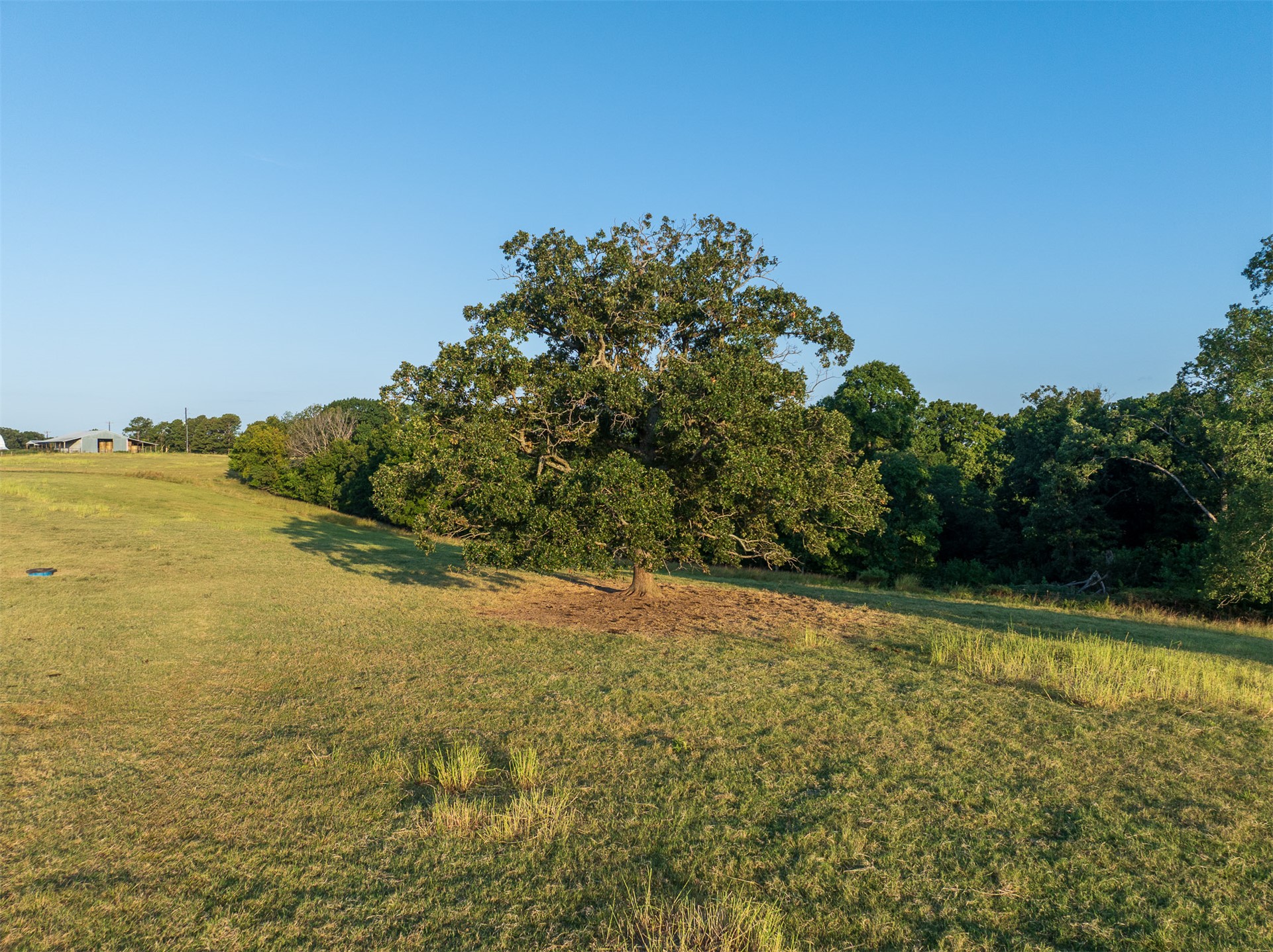 209 State Highway 59 Property Photo 50