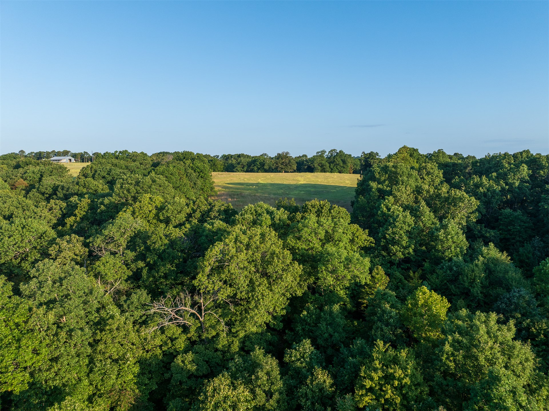 209 State Highway 59 Property Photo 51