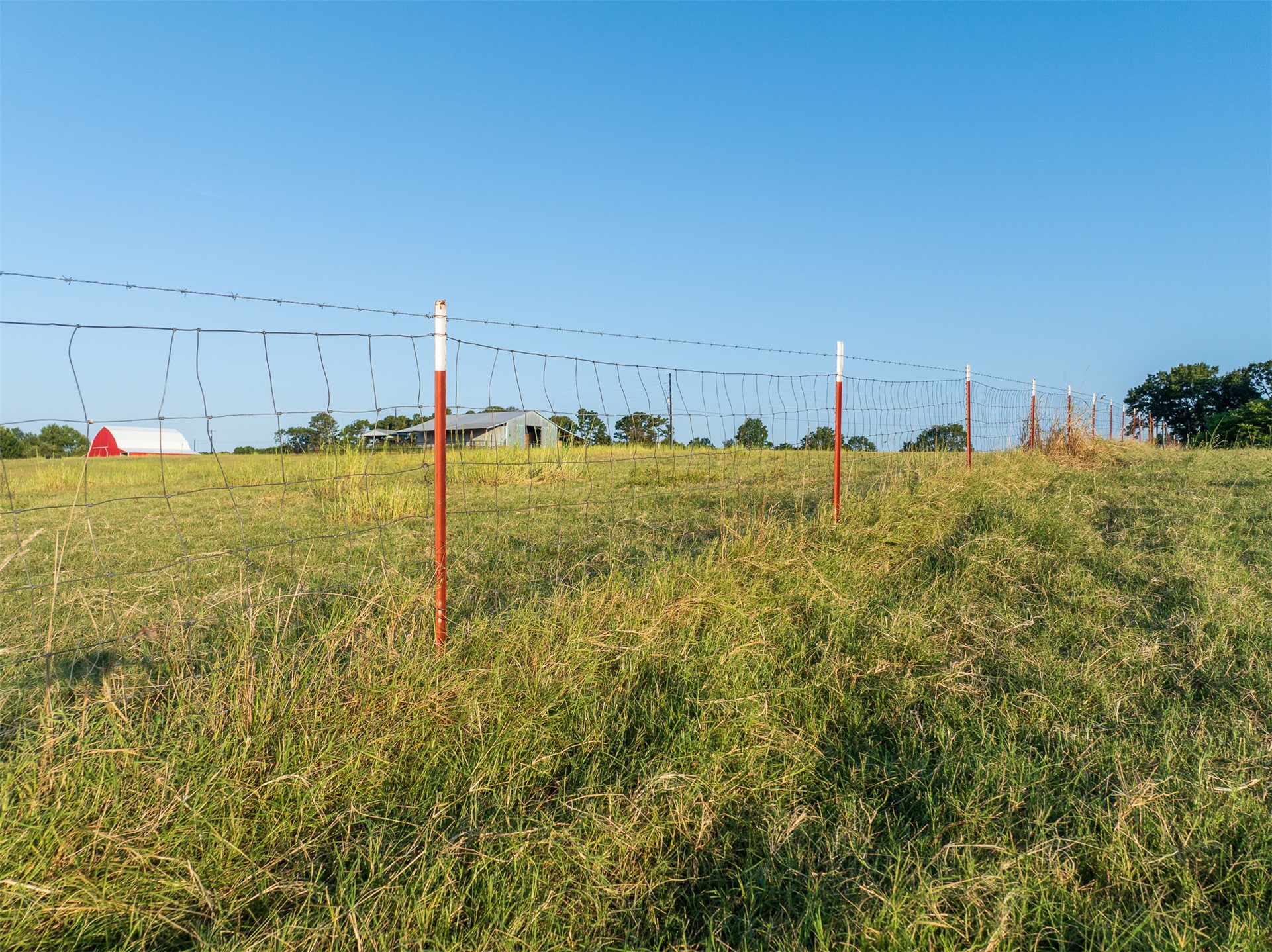 209 State Highway 59 Property Photo 52
