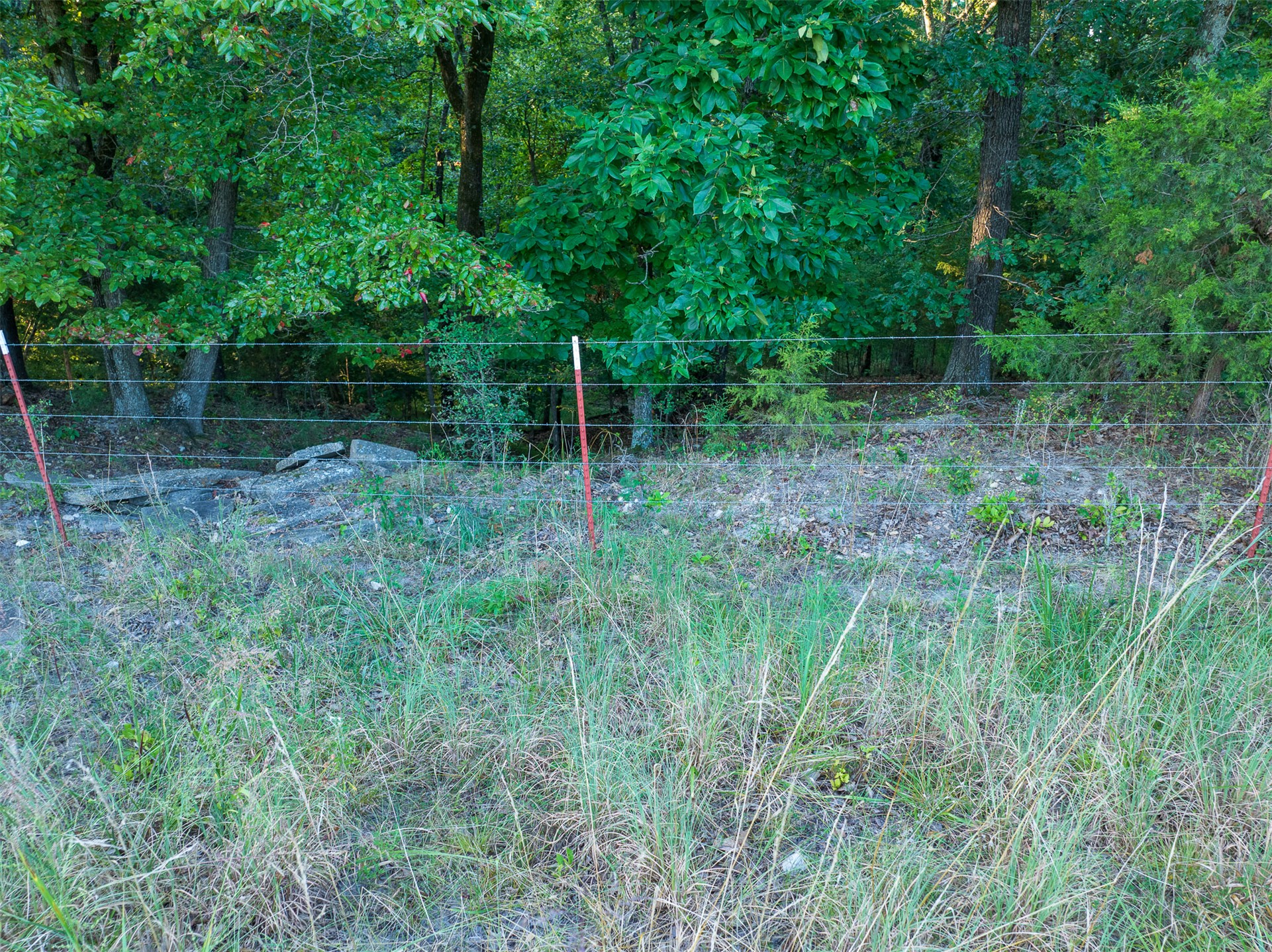 209 State Highway 59 Property Photo 53
