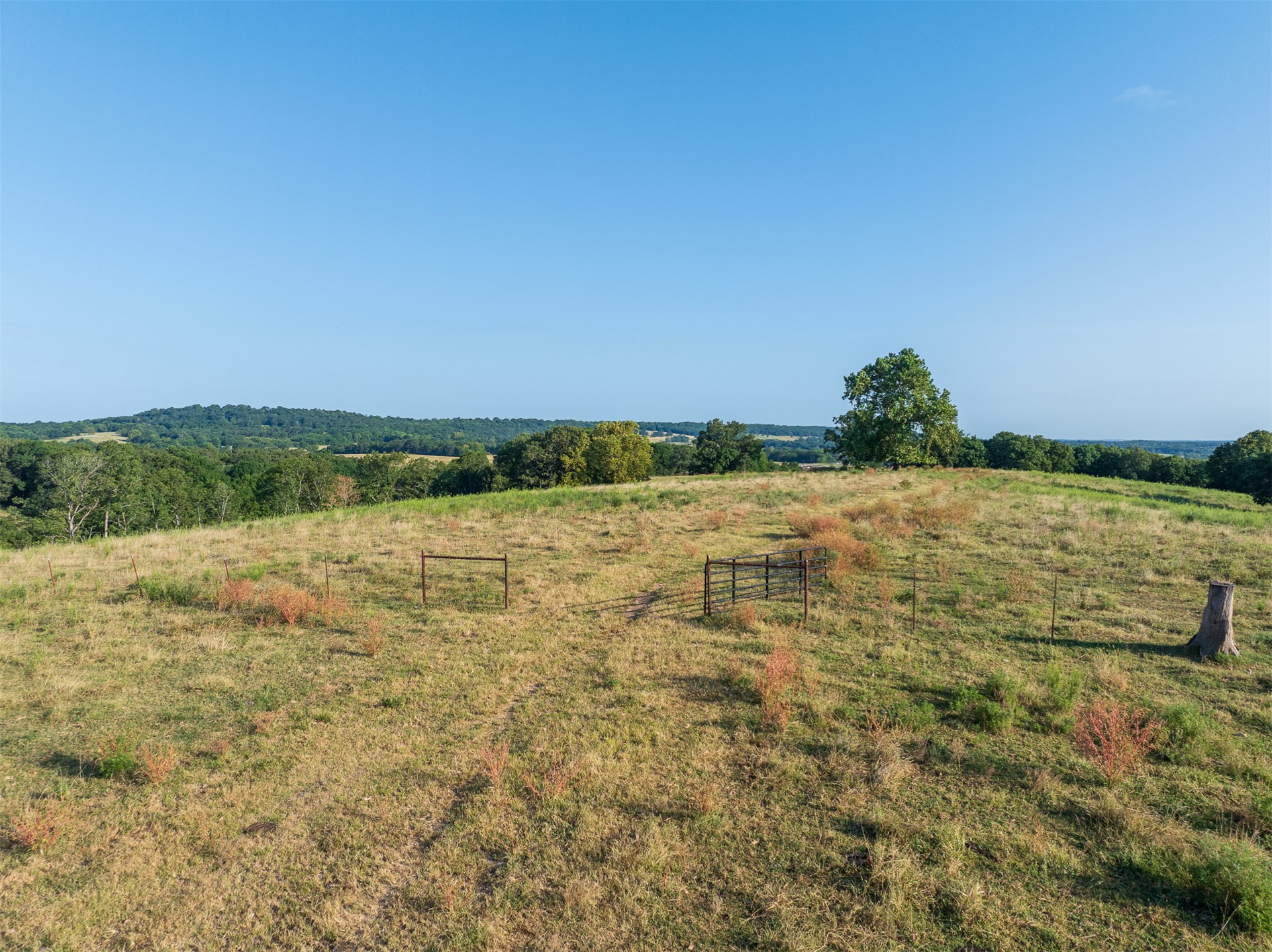 209 State Highway 59 Property Photo 54