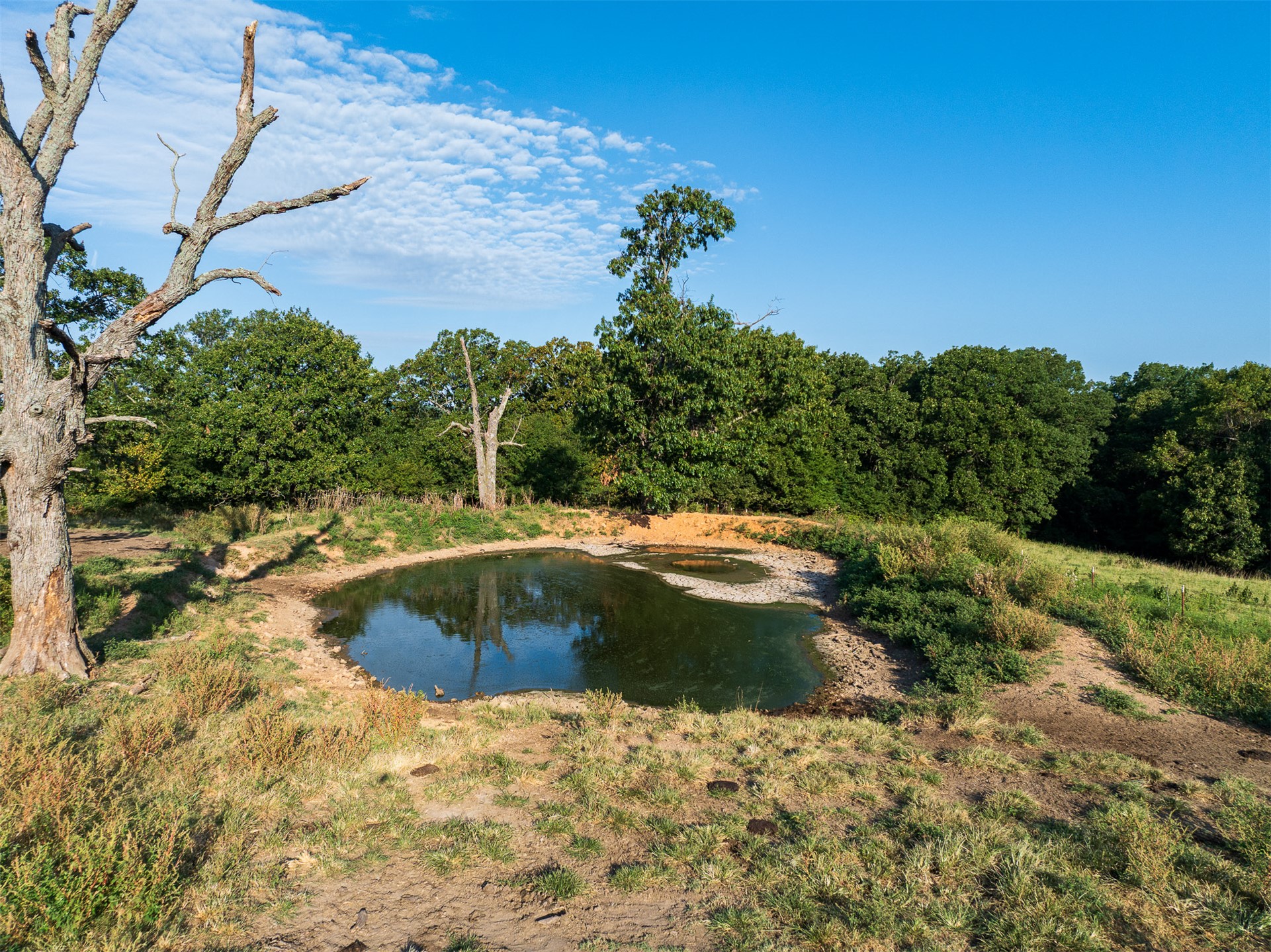 209 State Highway 59 Property Photo 59