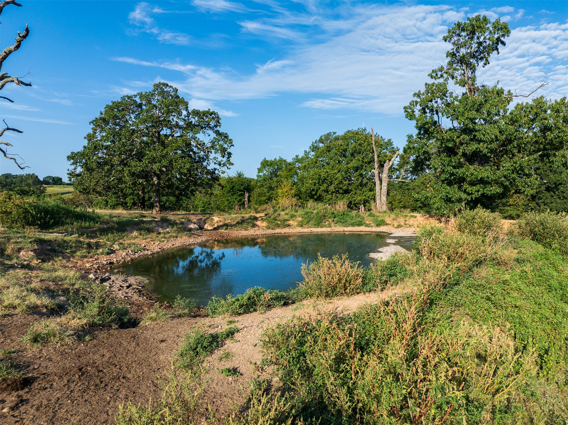 209 State Highway 59 Property Photo 60