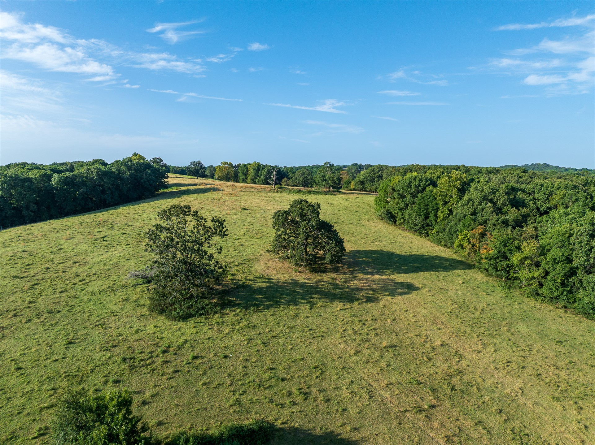 209 State Highway 59 Property Photo 62